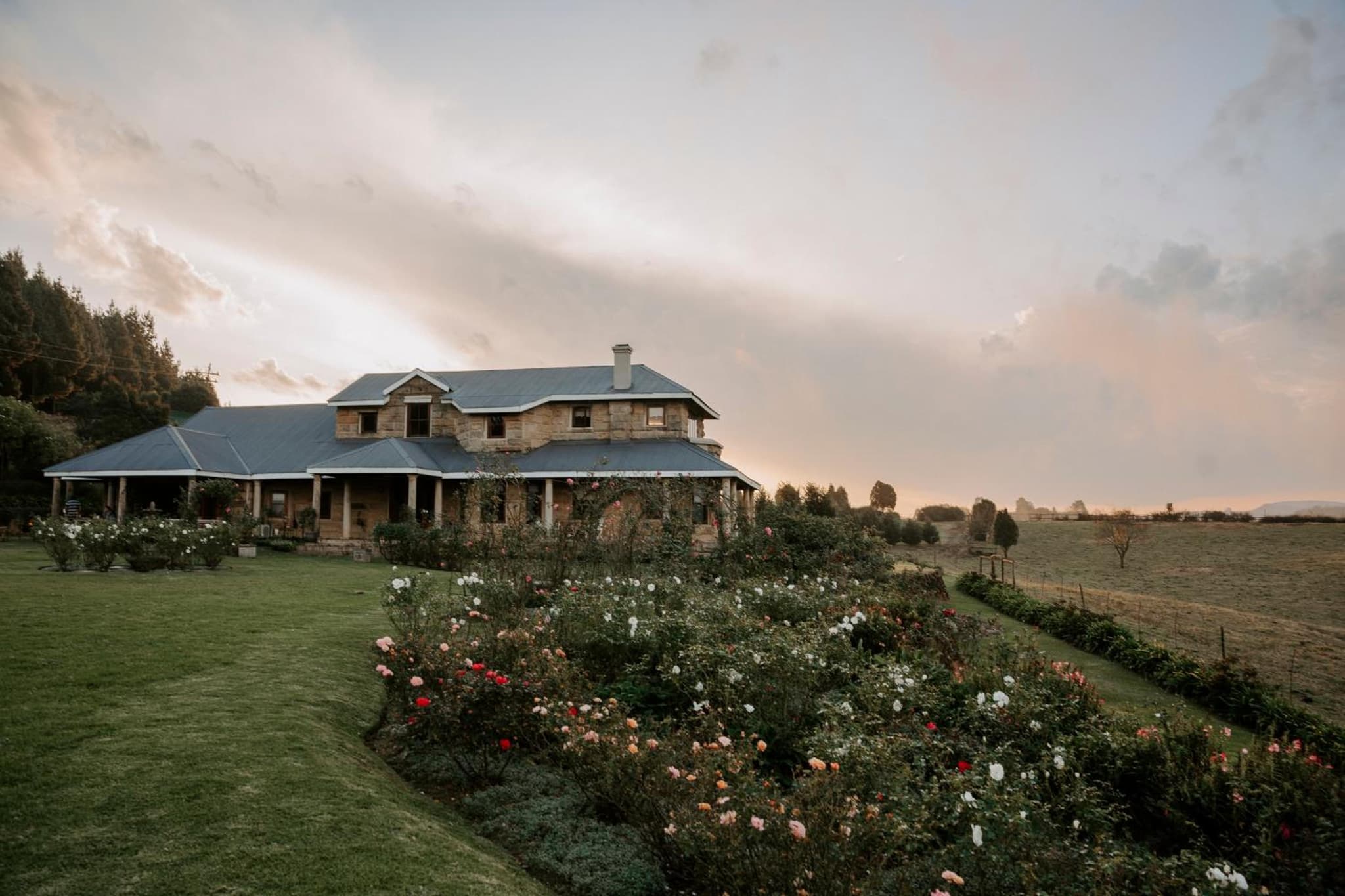 Thyme Out Weltevreden Farm