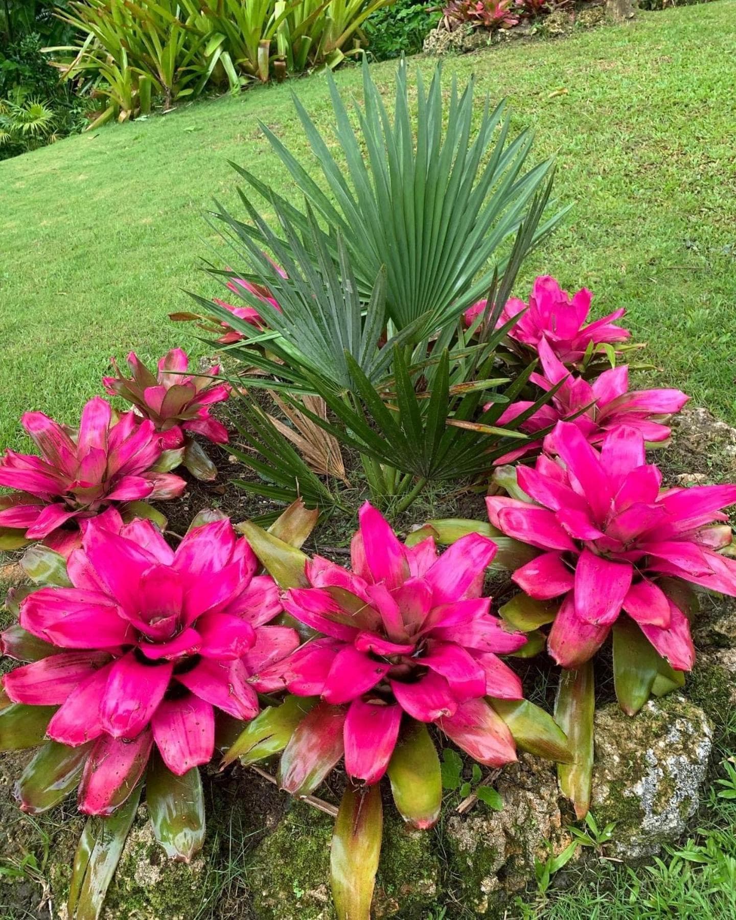 T.Cole’s Holiday Rental photo 6