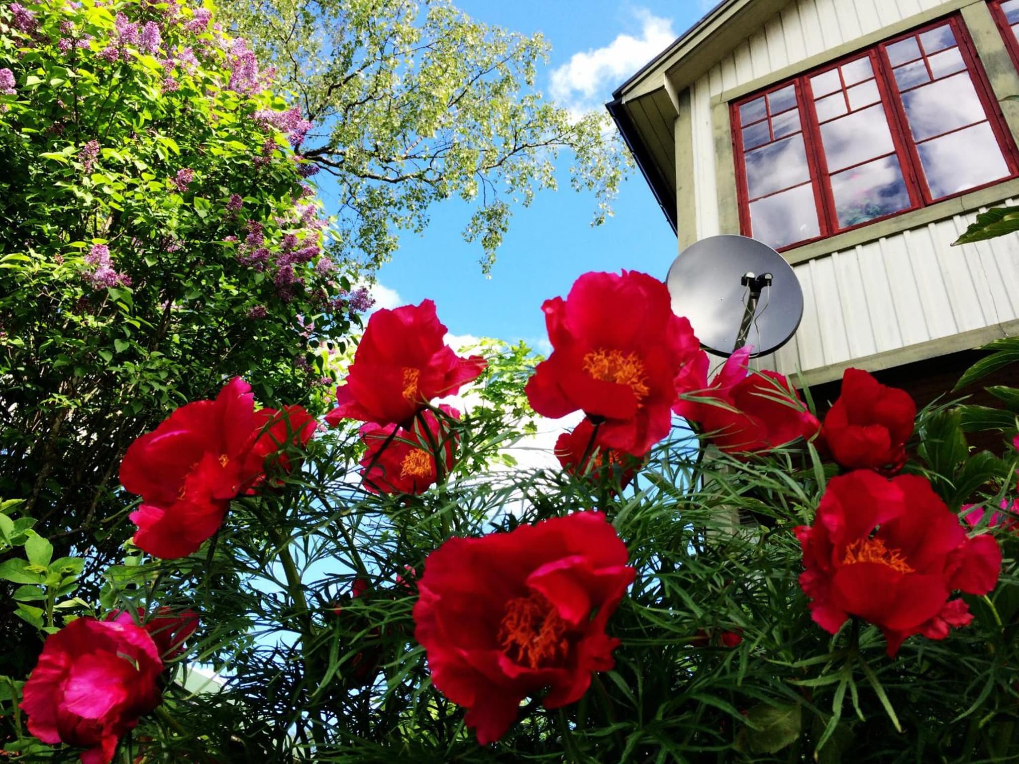 Sweden Slow Living photo 6