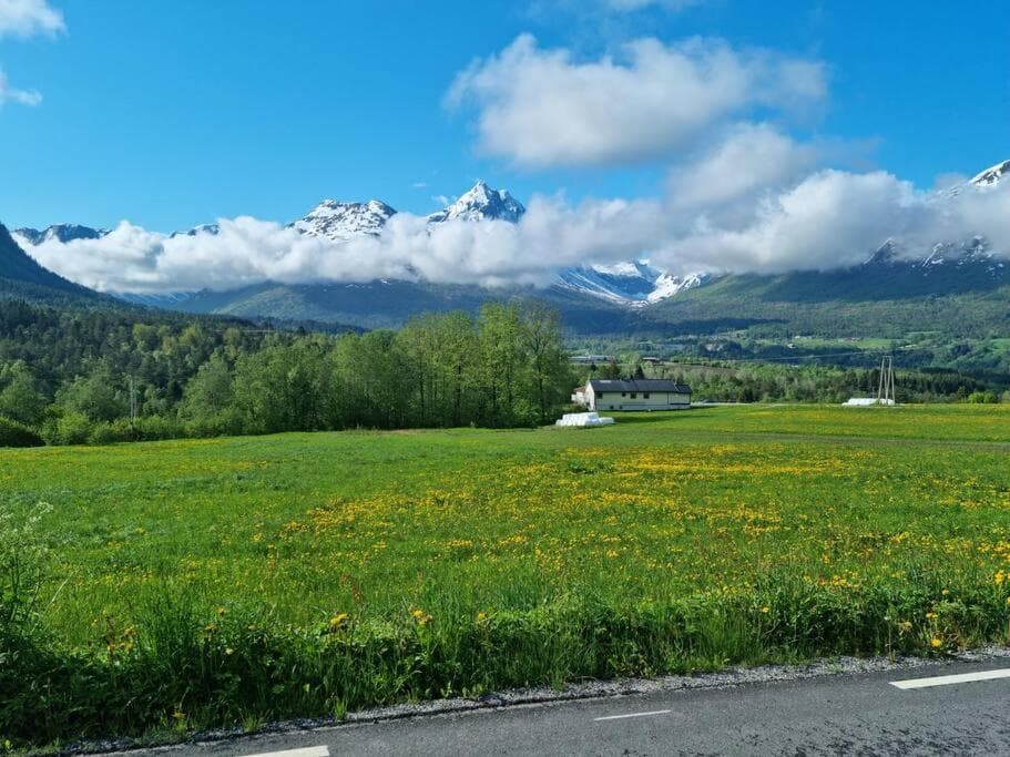 Kavli gjestehus - Isfjorden. photo 3