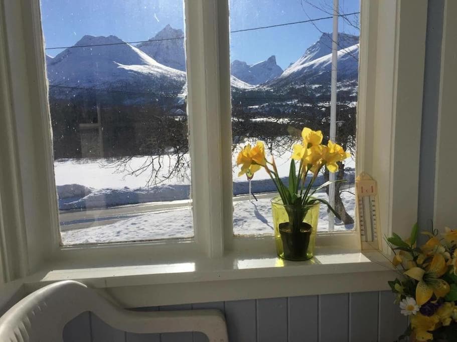 Kavli gjestehus - Isfjorden. photo 6