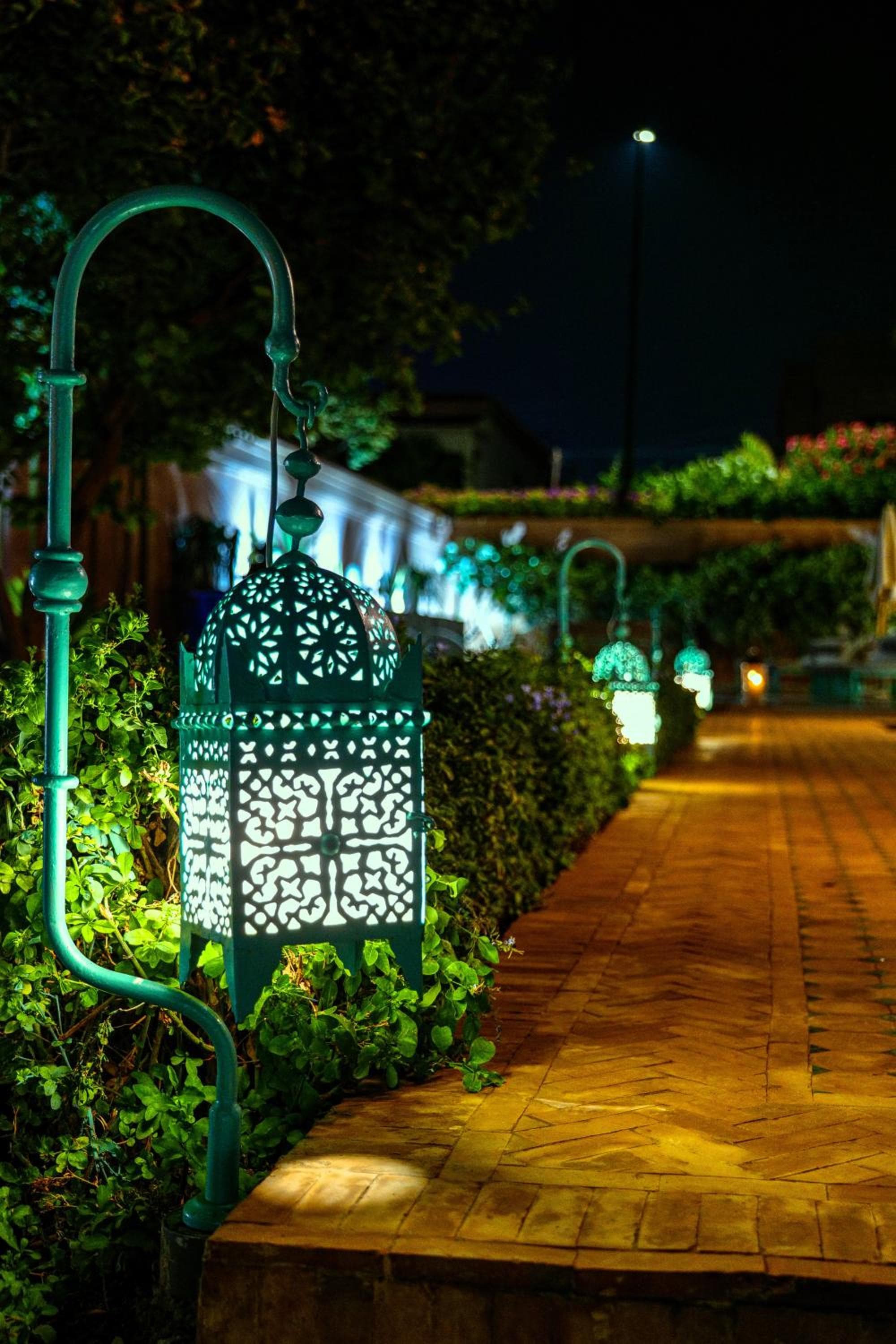 Luxury Private Villa Taj Sofia & Spa photo 3