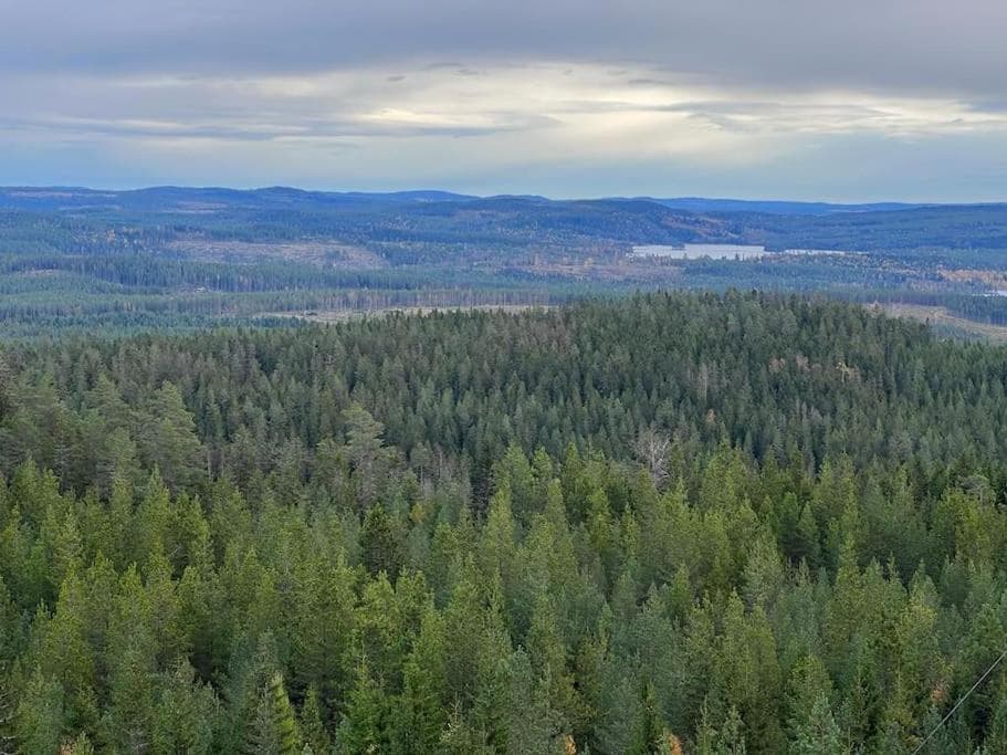 Fritidshus Hammare Hagfors photo 5