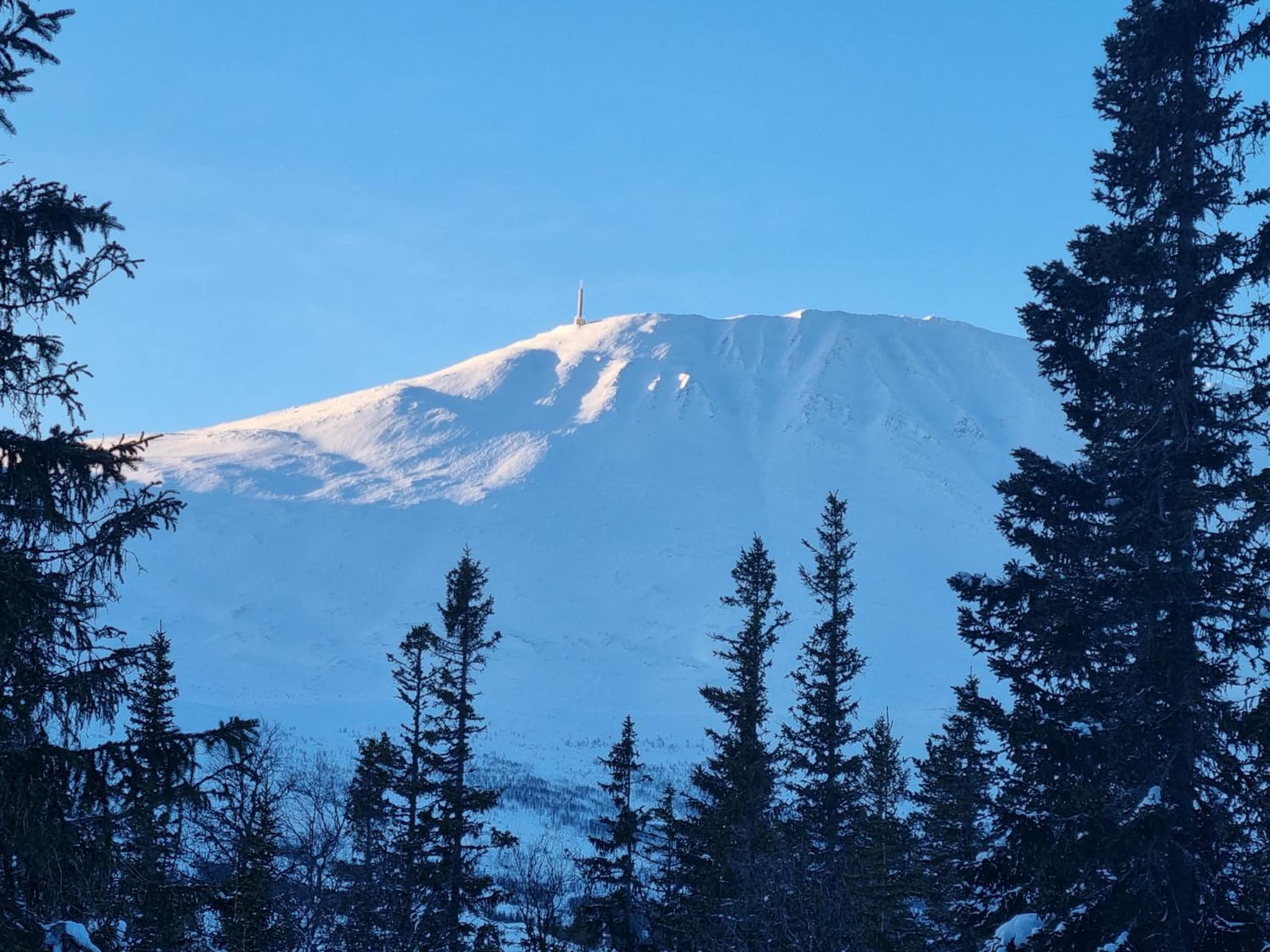 Fin leilighet med flott utsikt til Gaustatoppen photo 5