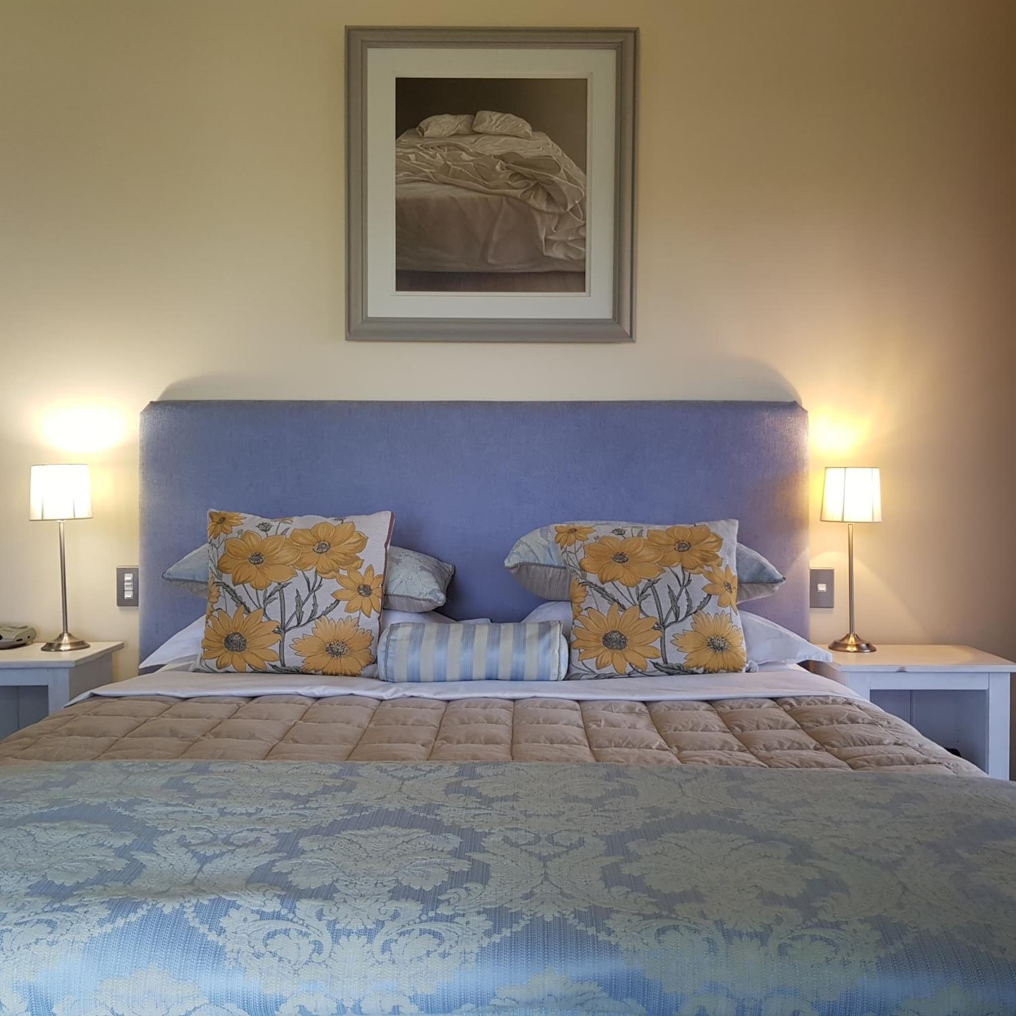 Hawkdun Rise Vineyard & Accommodation photo 9