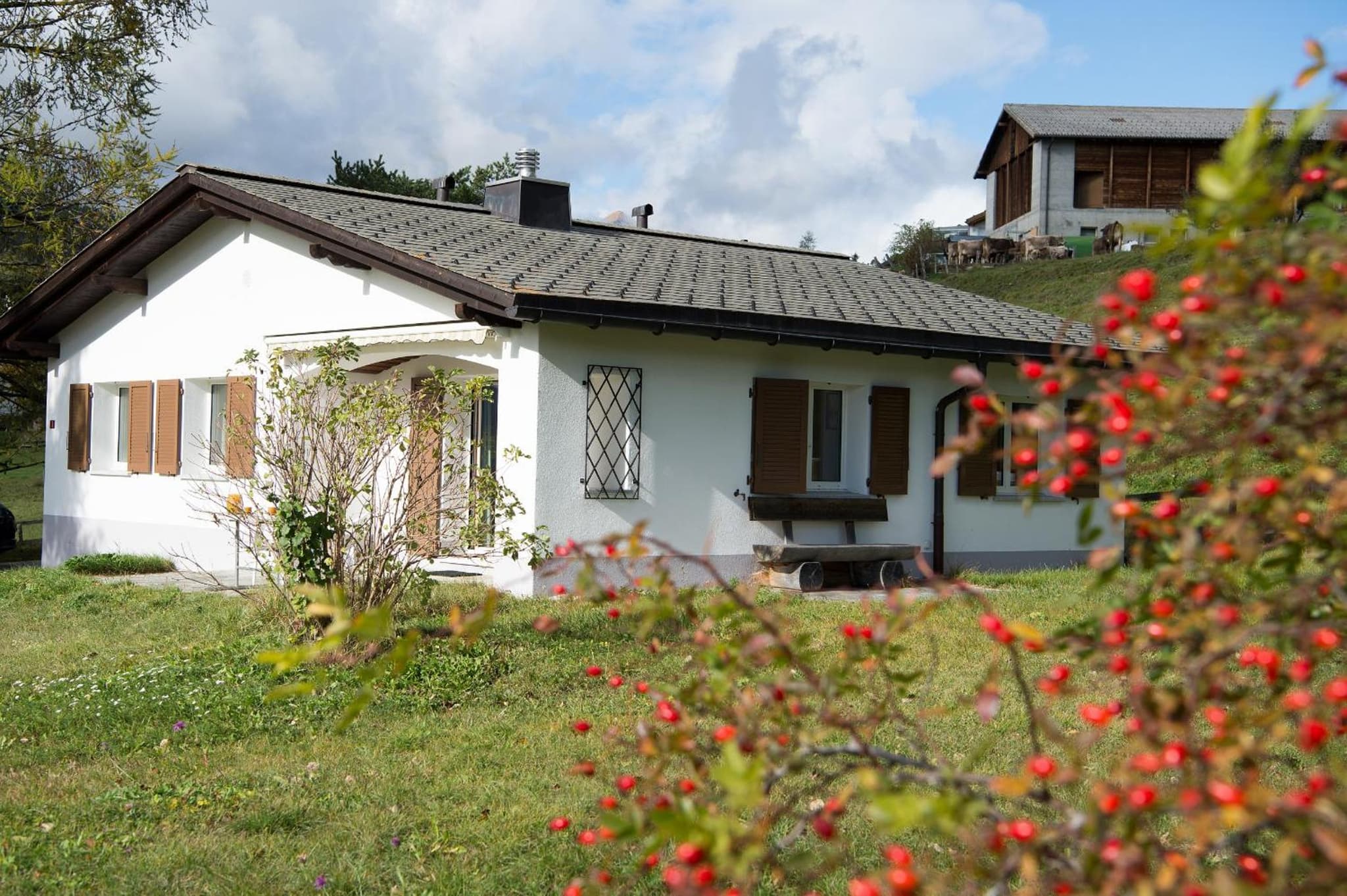 Quiet house with garden and mountain view