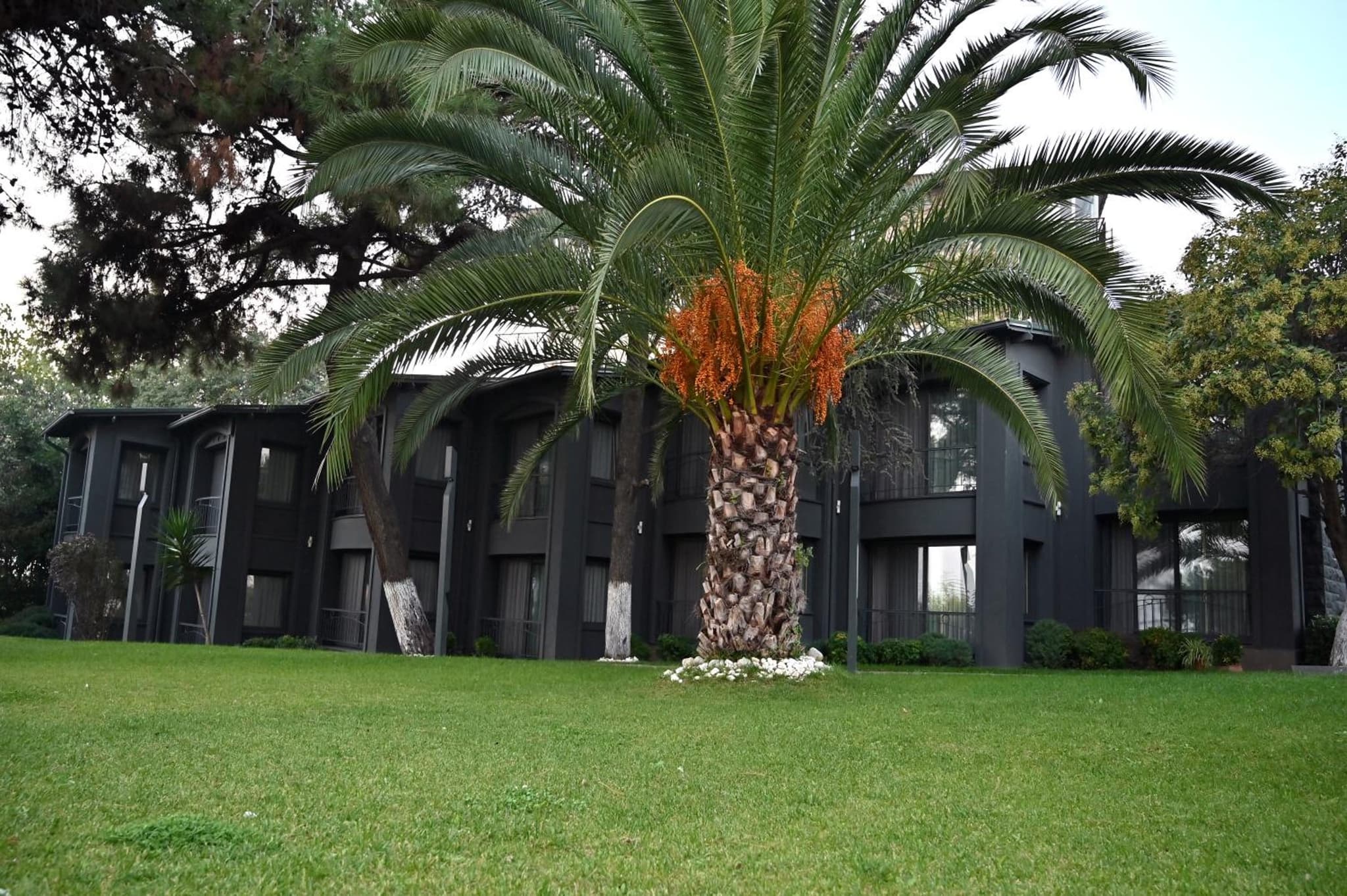 Denizatı Plus Hotel photo 2