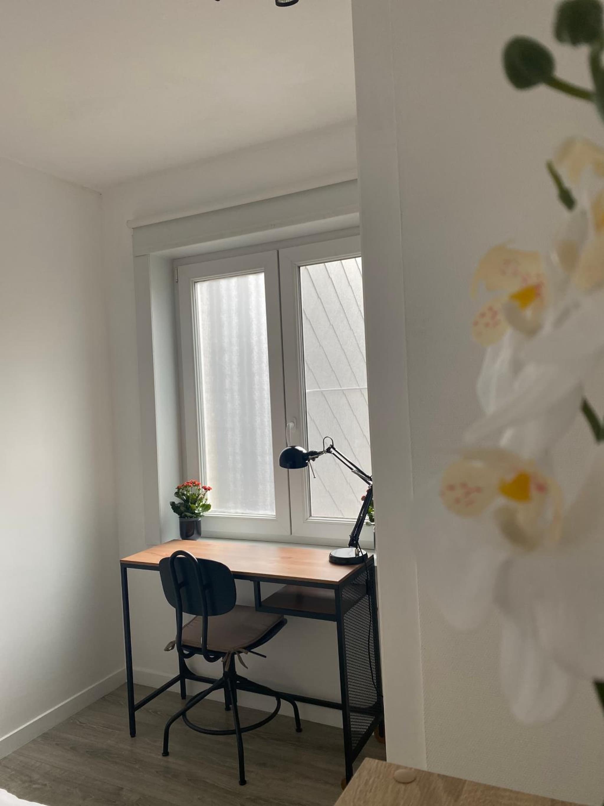 Appartement Ostend photo 2
