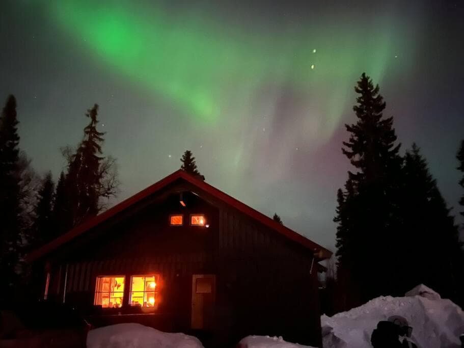 Cozy mountain house in Jämtland photo 7
