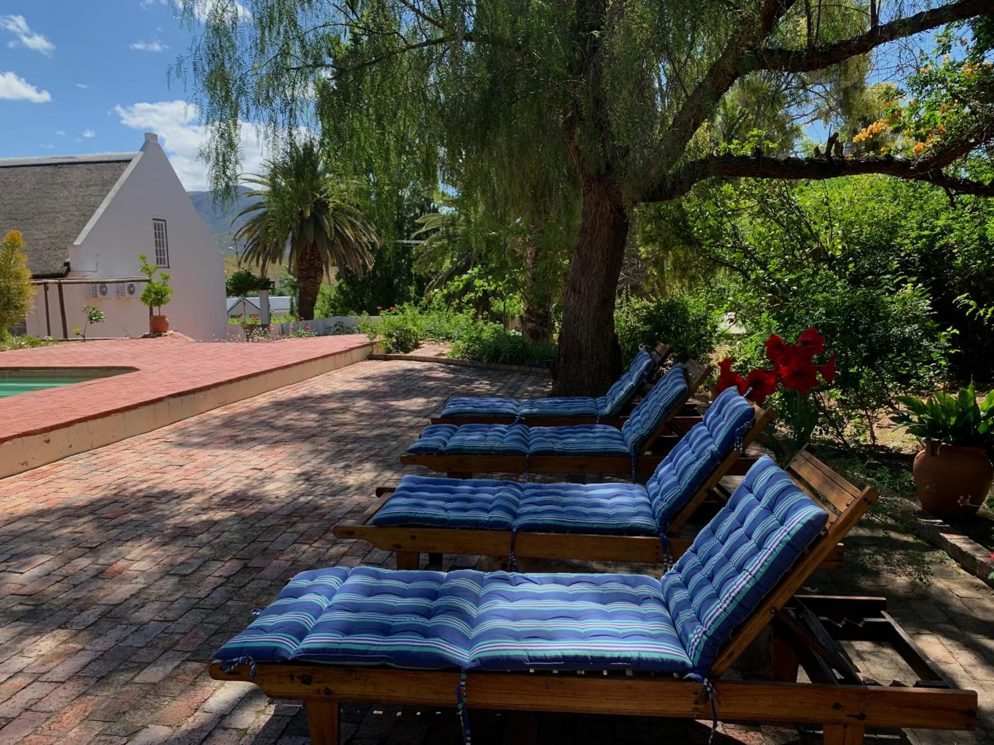 Port Wine Guesthouse photo 8