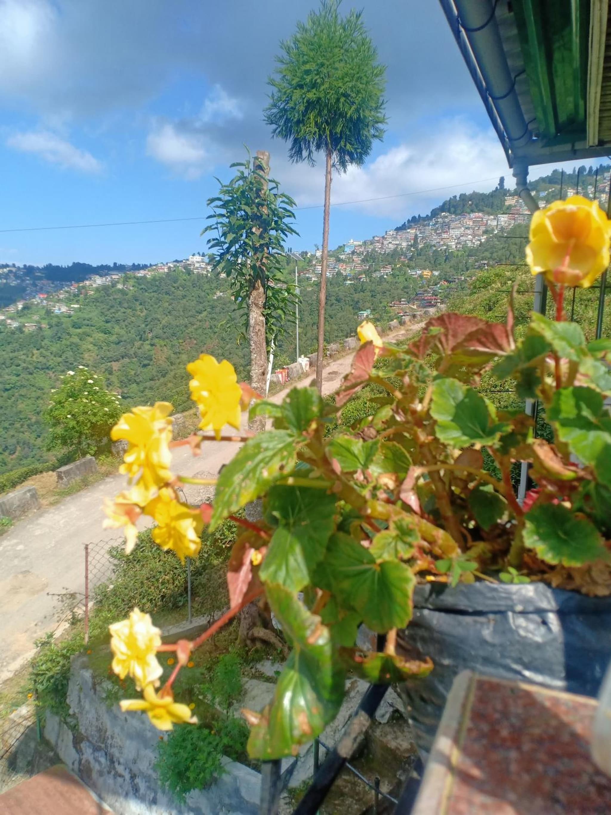 Pinewood Homestay photo 6