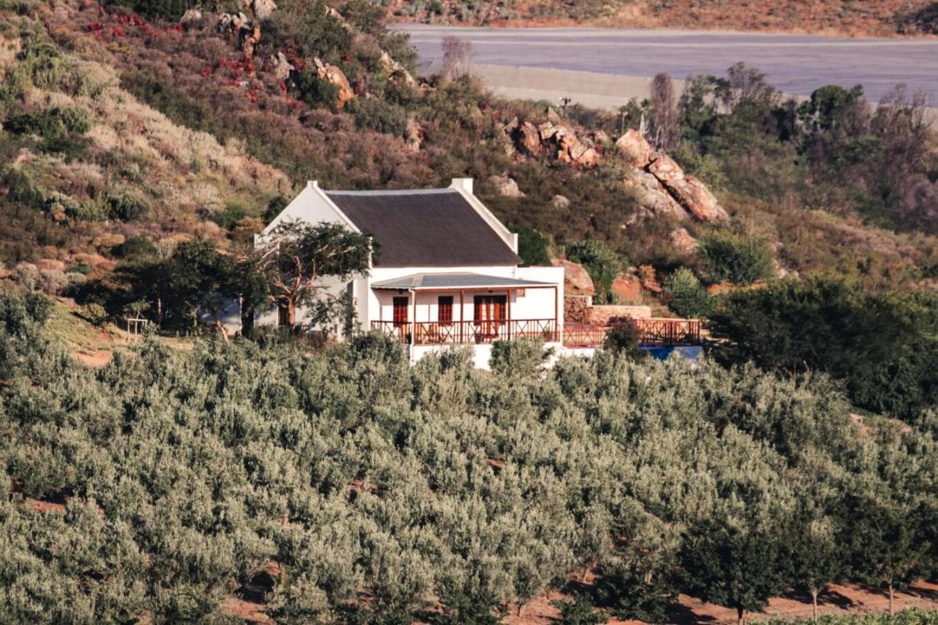 Orange Grove photo 2