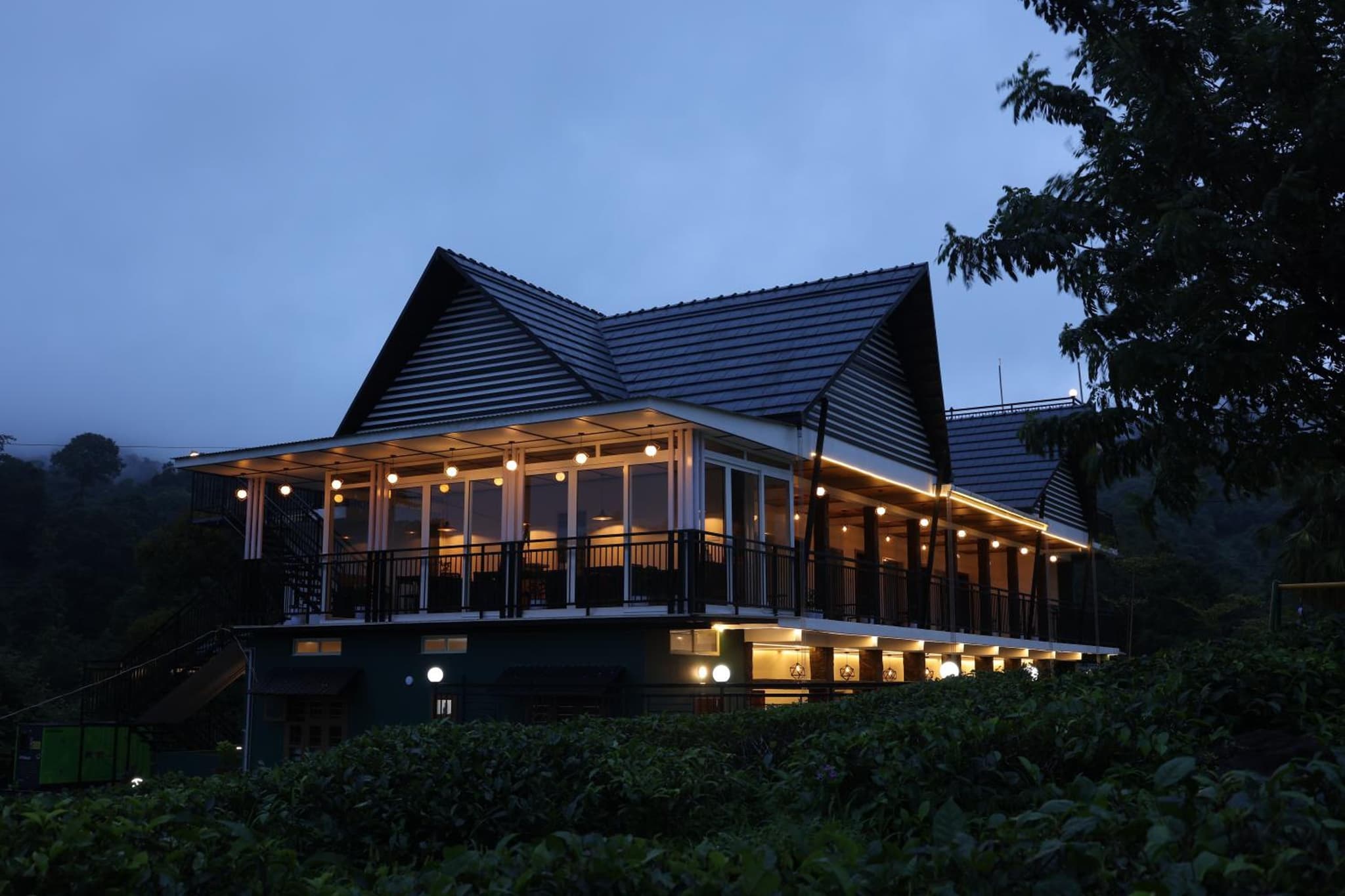 jungle view resort photo 2