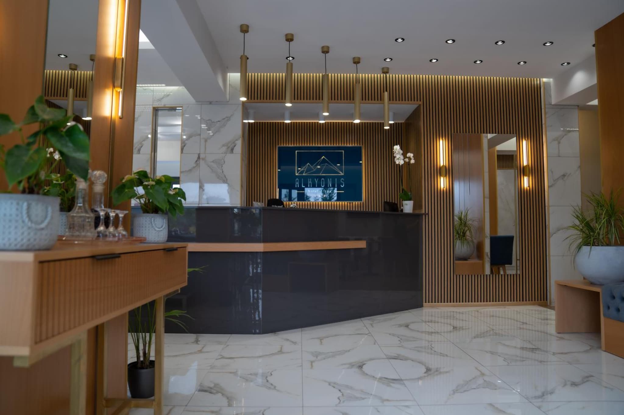 Alkyonis Hotel & Spa photo 9
