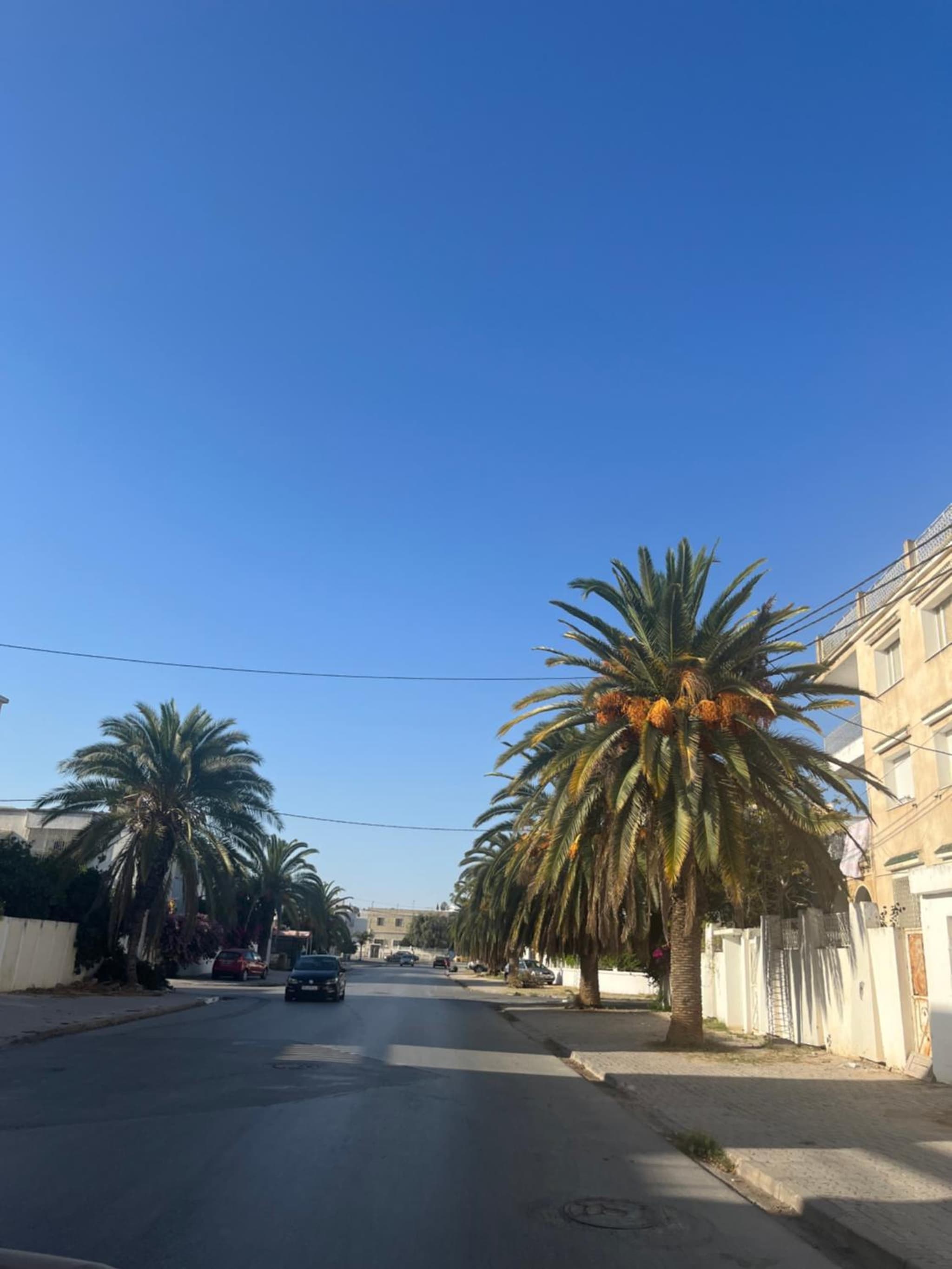 Sublime duplex au Bardo Tunis photo 5
