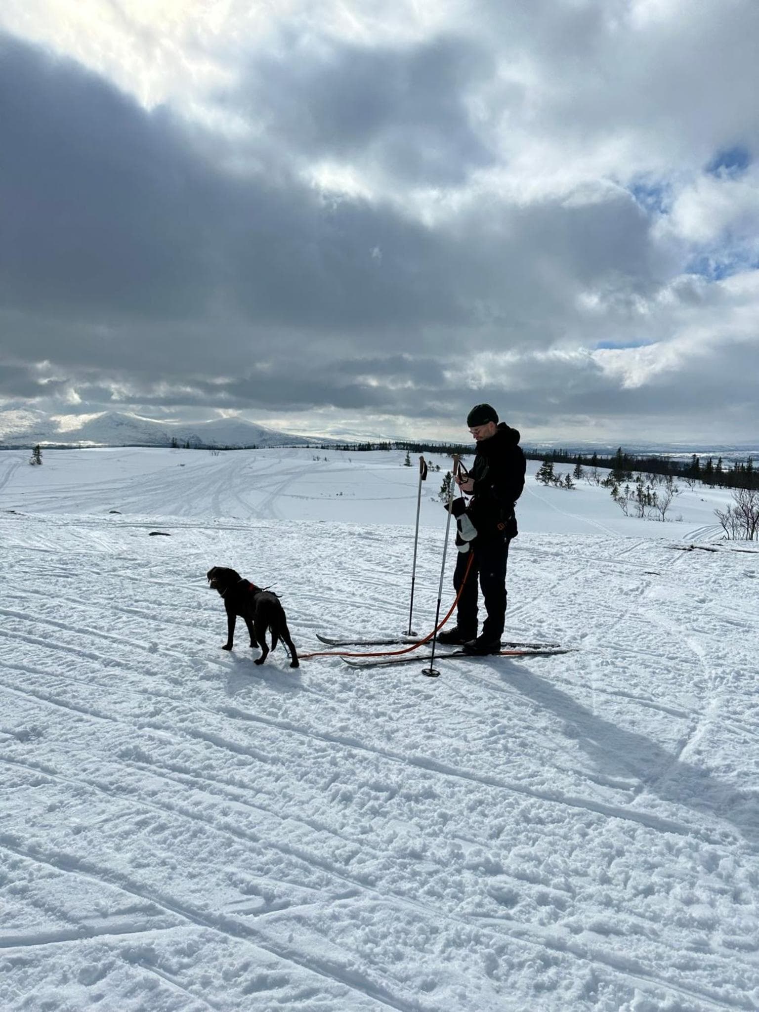 Granlunda Fjällgård photo 4