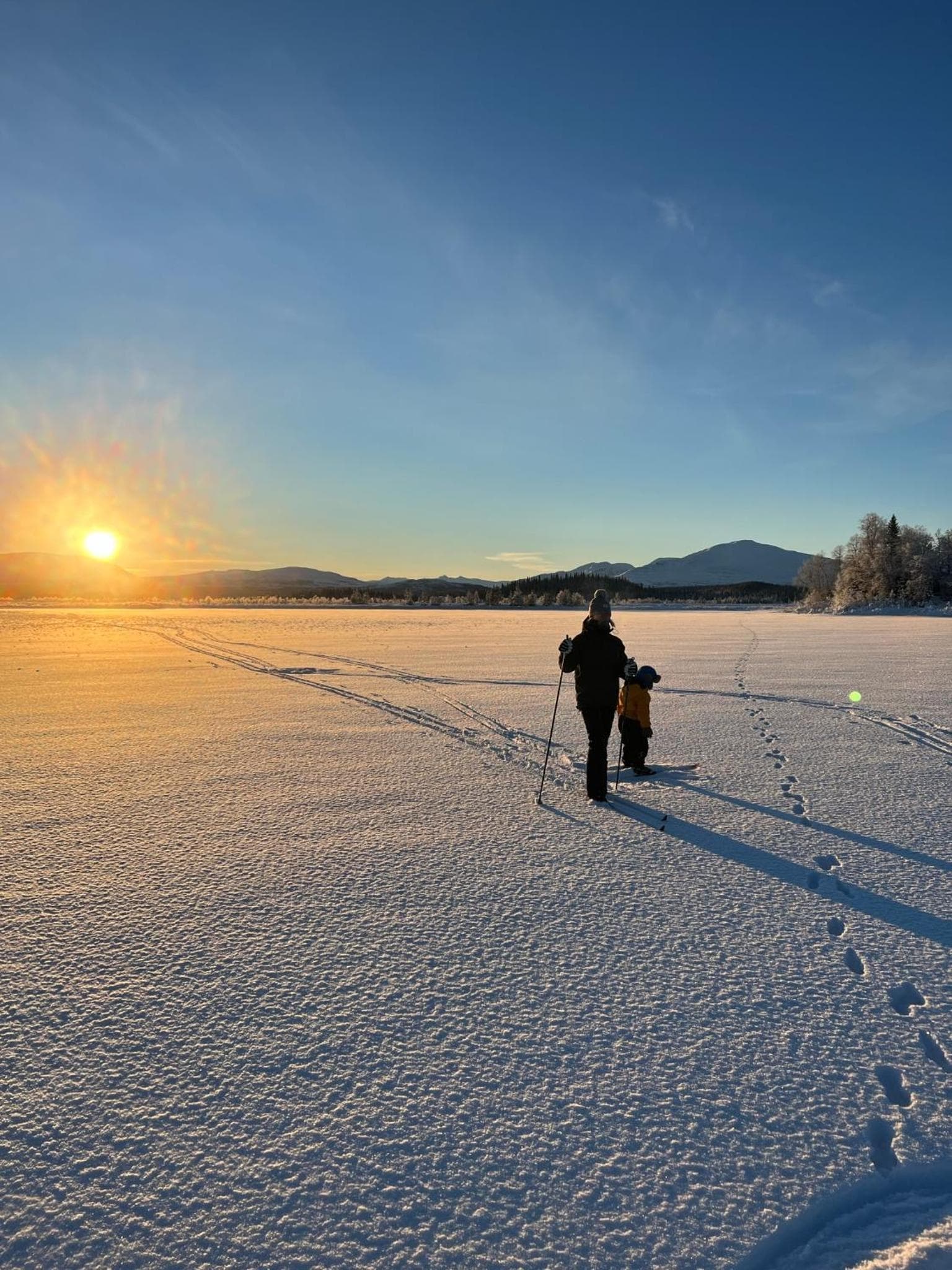 Granlunda Fjällgård photo 5