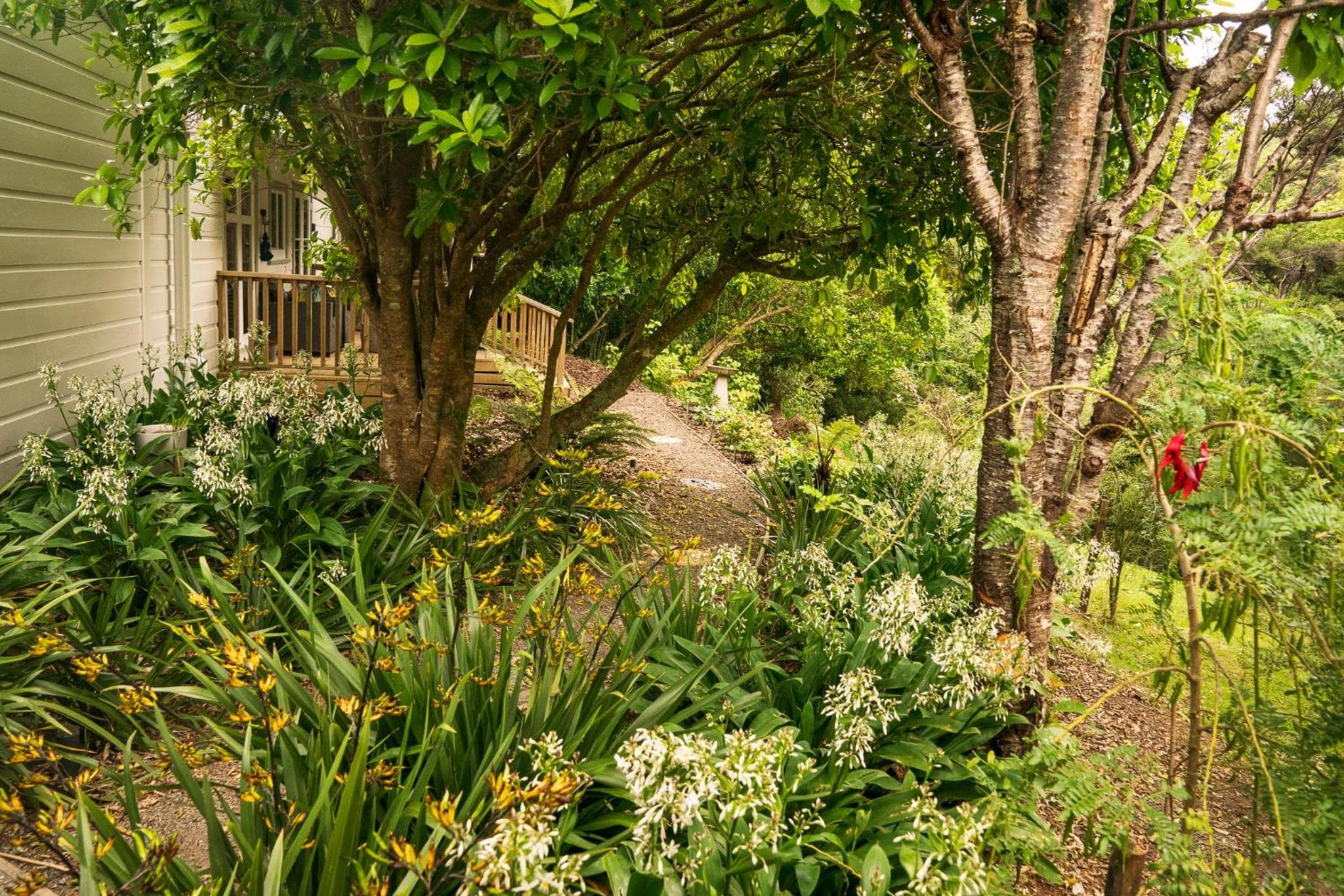 Birdsong Cottage photo 5