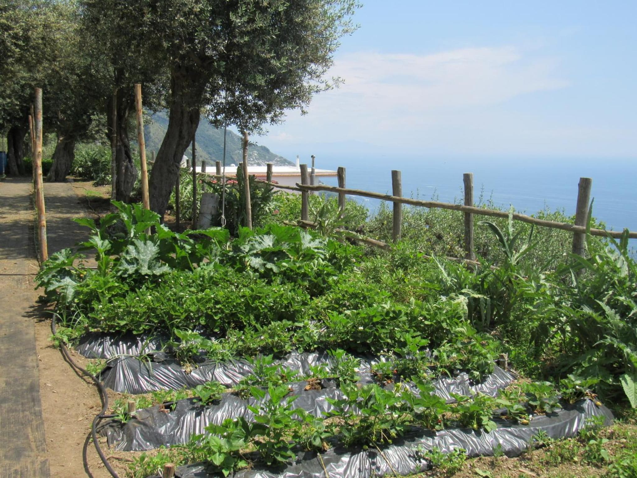 Casa Vacanze Il Libeccio photo 6