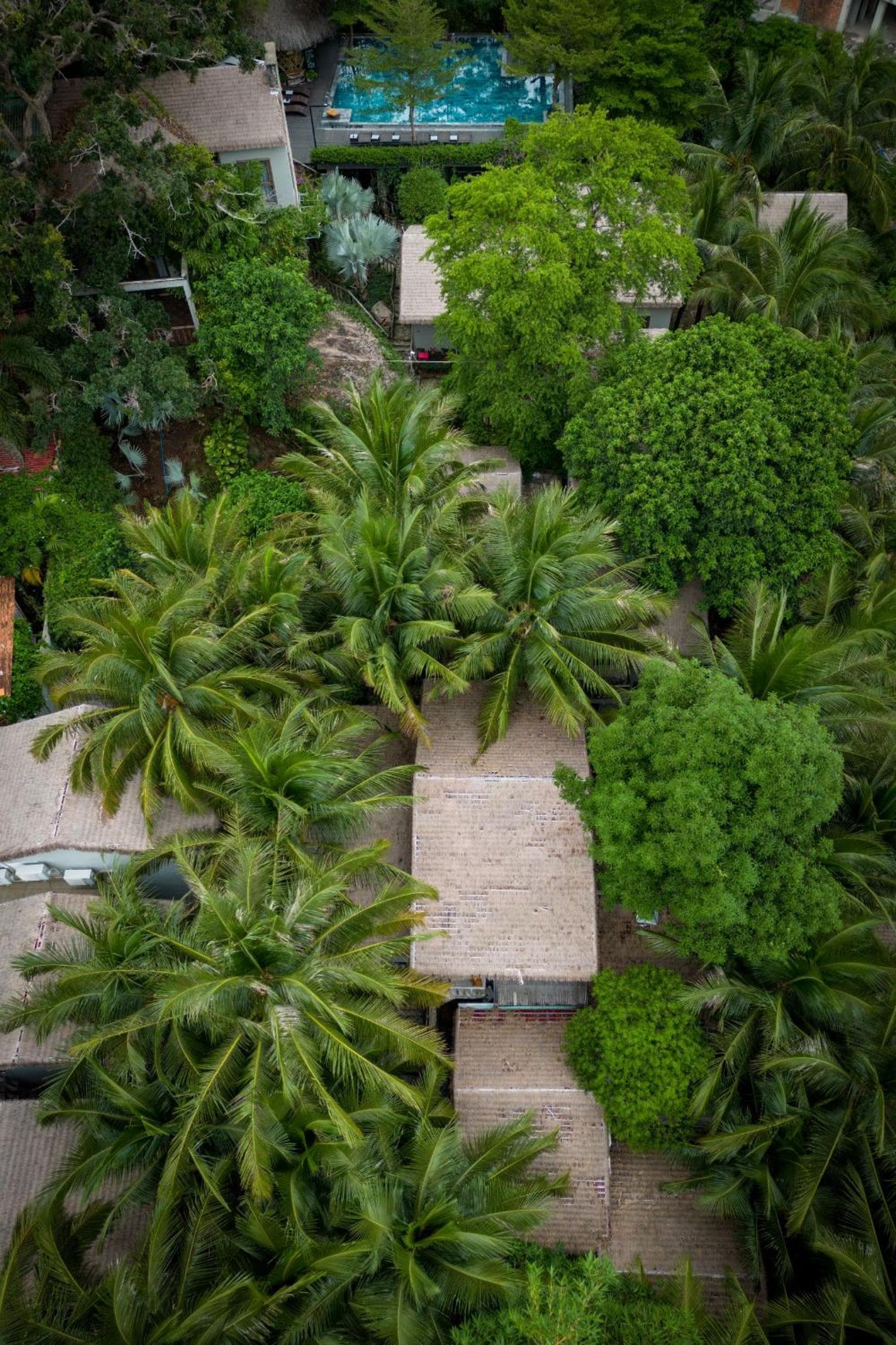 M Village Phu Quoc photo 7