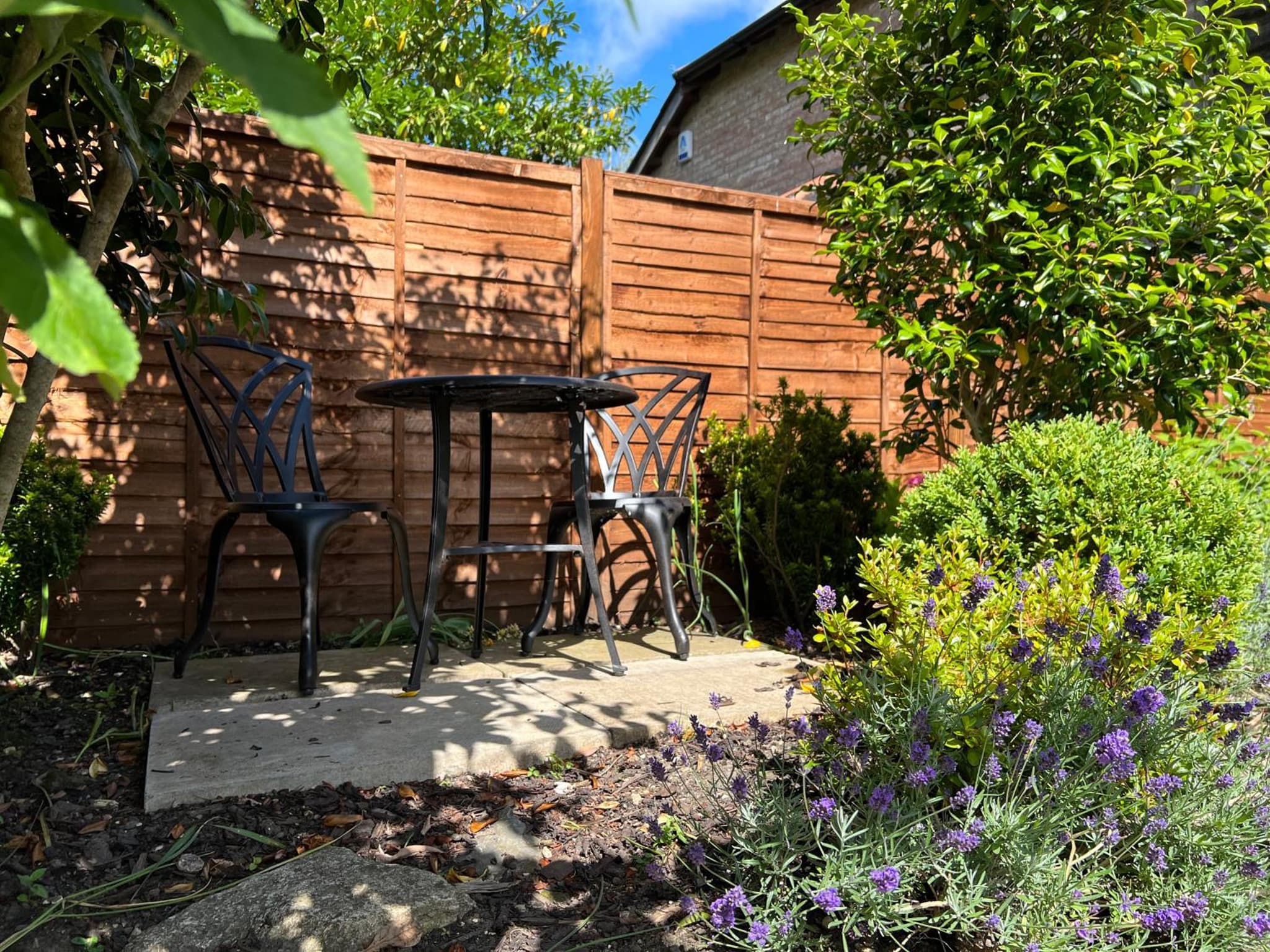 Cottage Lodge Hotel photo 8