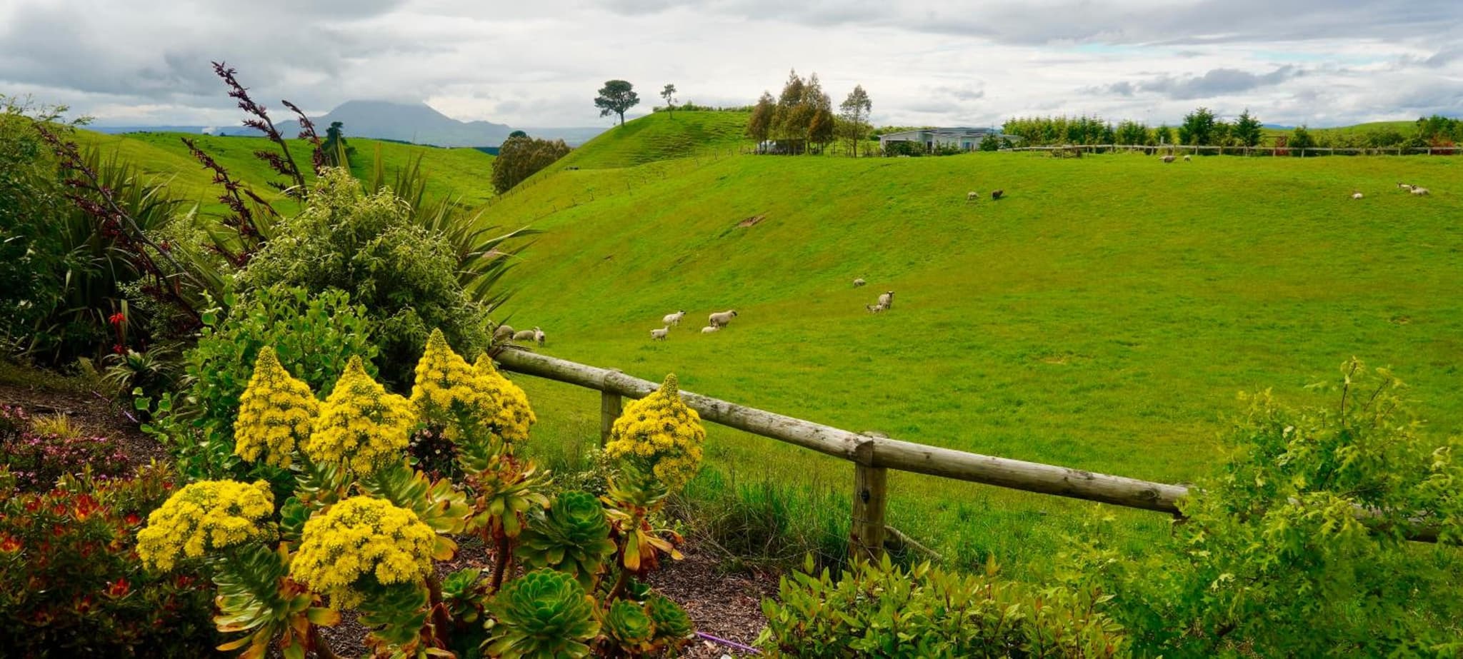 Hilltop Whakaipo Estate photo 7