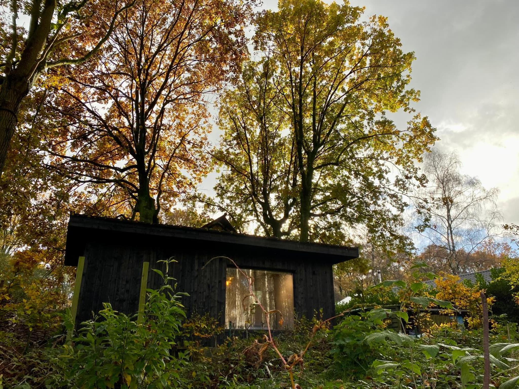Kabana - eco forest suite