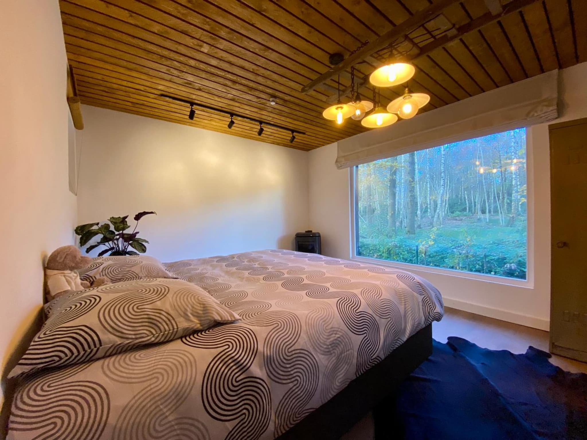Kabana - eco forest suite photo 2