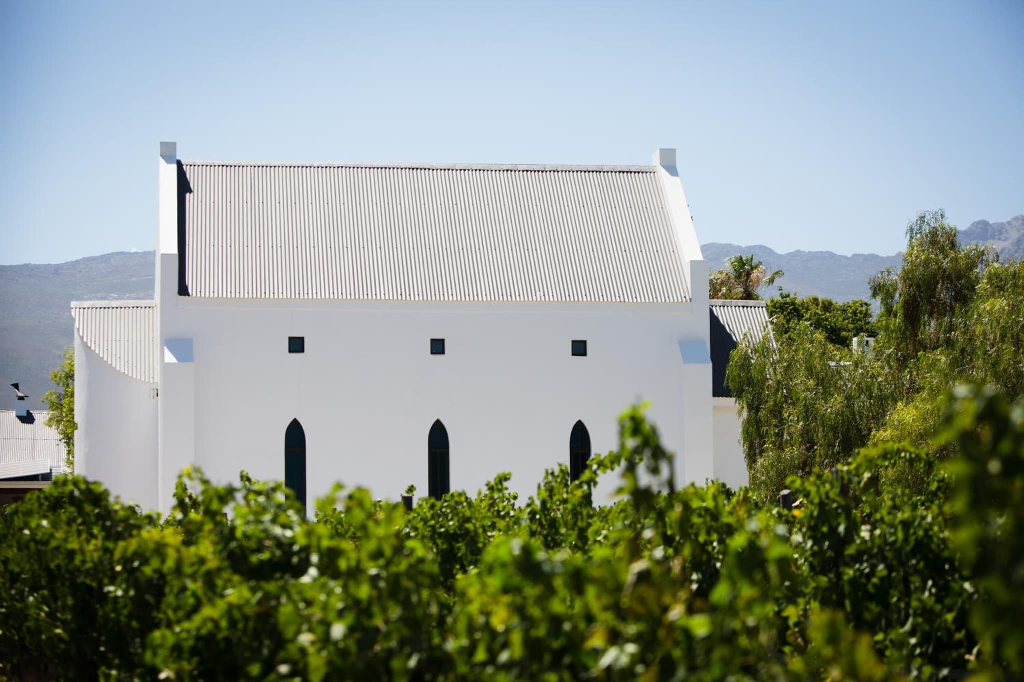 Manley Wine Estate photo 4