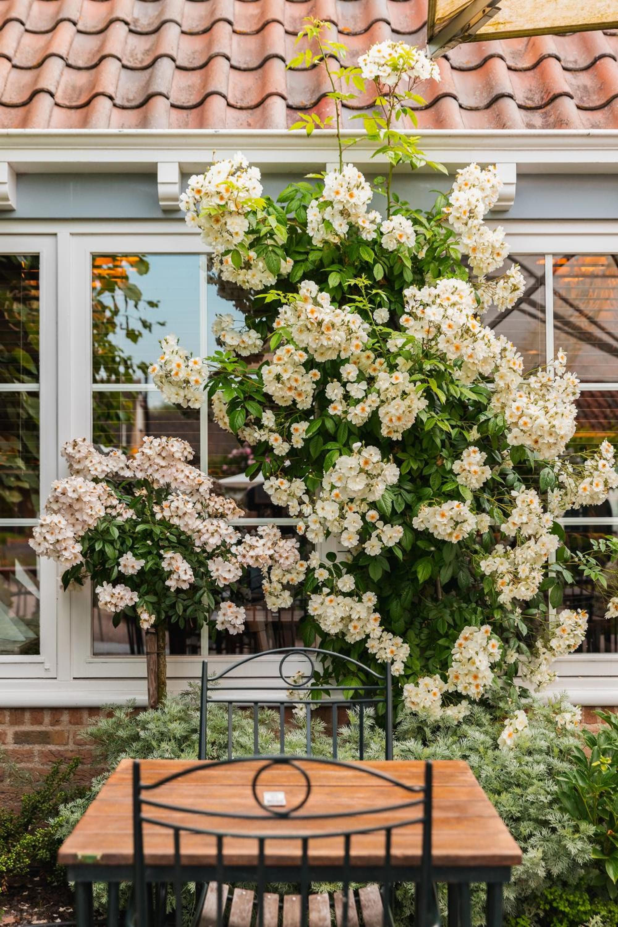 De Lindenhoeve Boutique Hotel photo 6