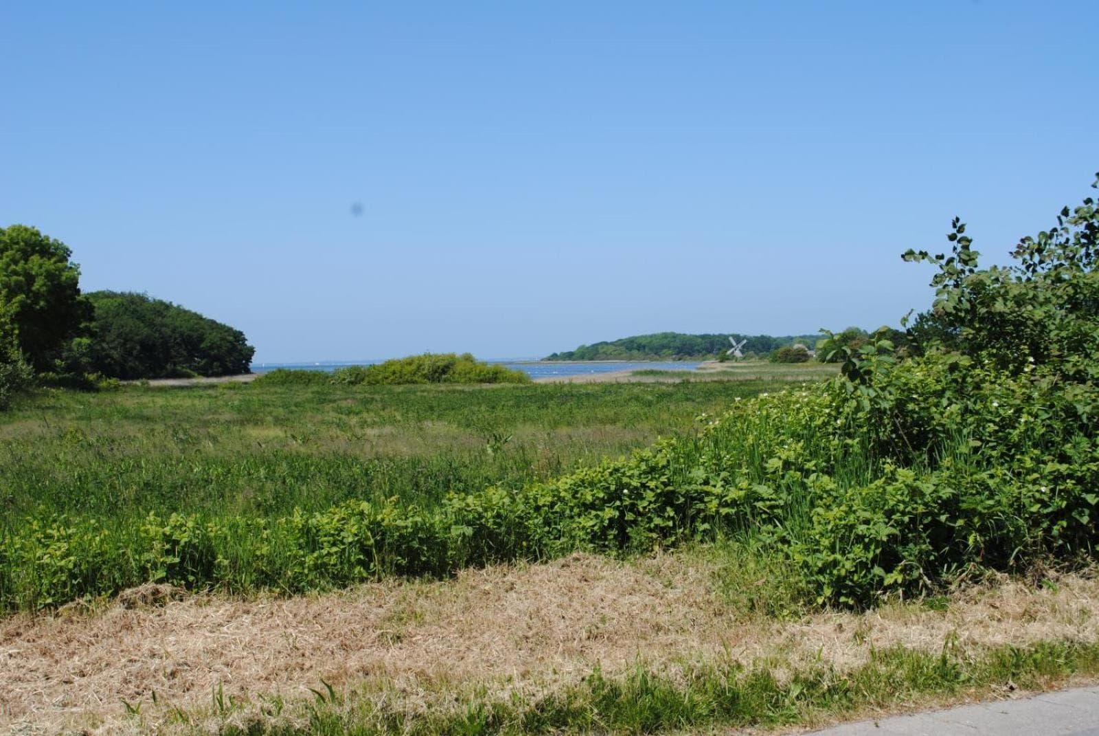 Ostsee-Engel photo 6