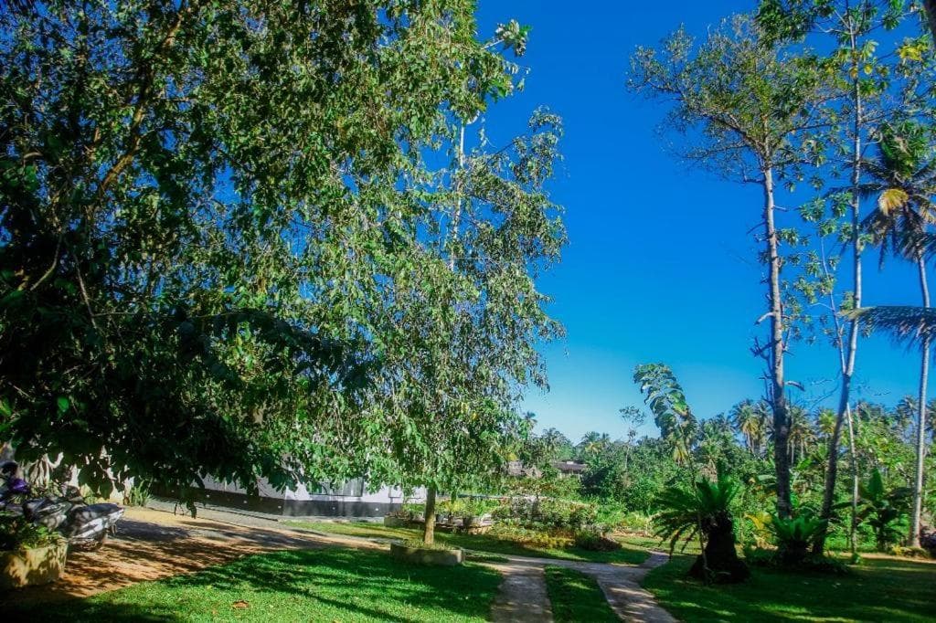 The Glade photo 6