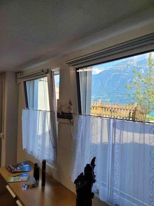 Lakeview Basement Apartment near Interlaken photo 3