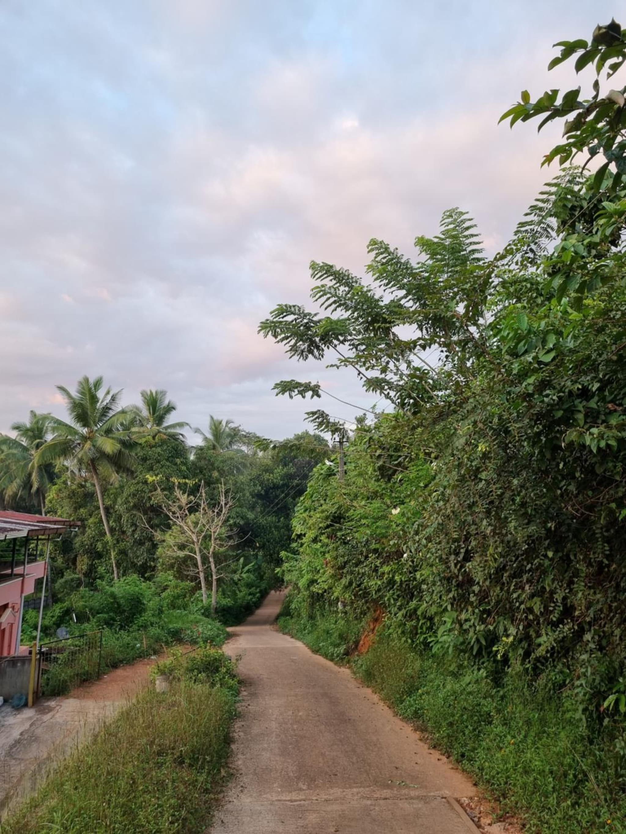 Adiga's Homestay Dharmasthala photo 2