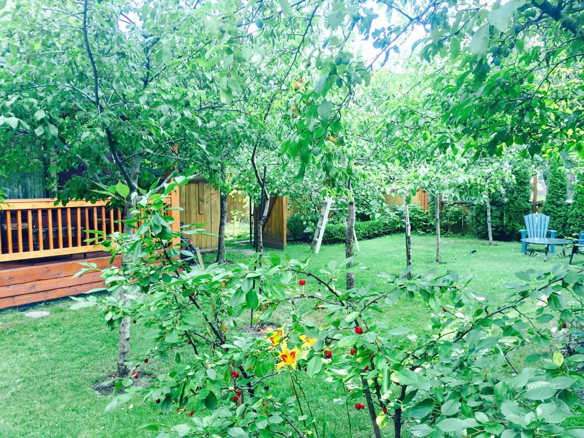 Luna Bed & Breakfast photo 8