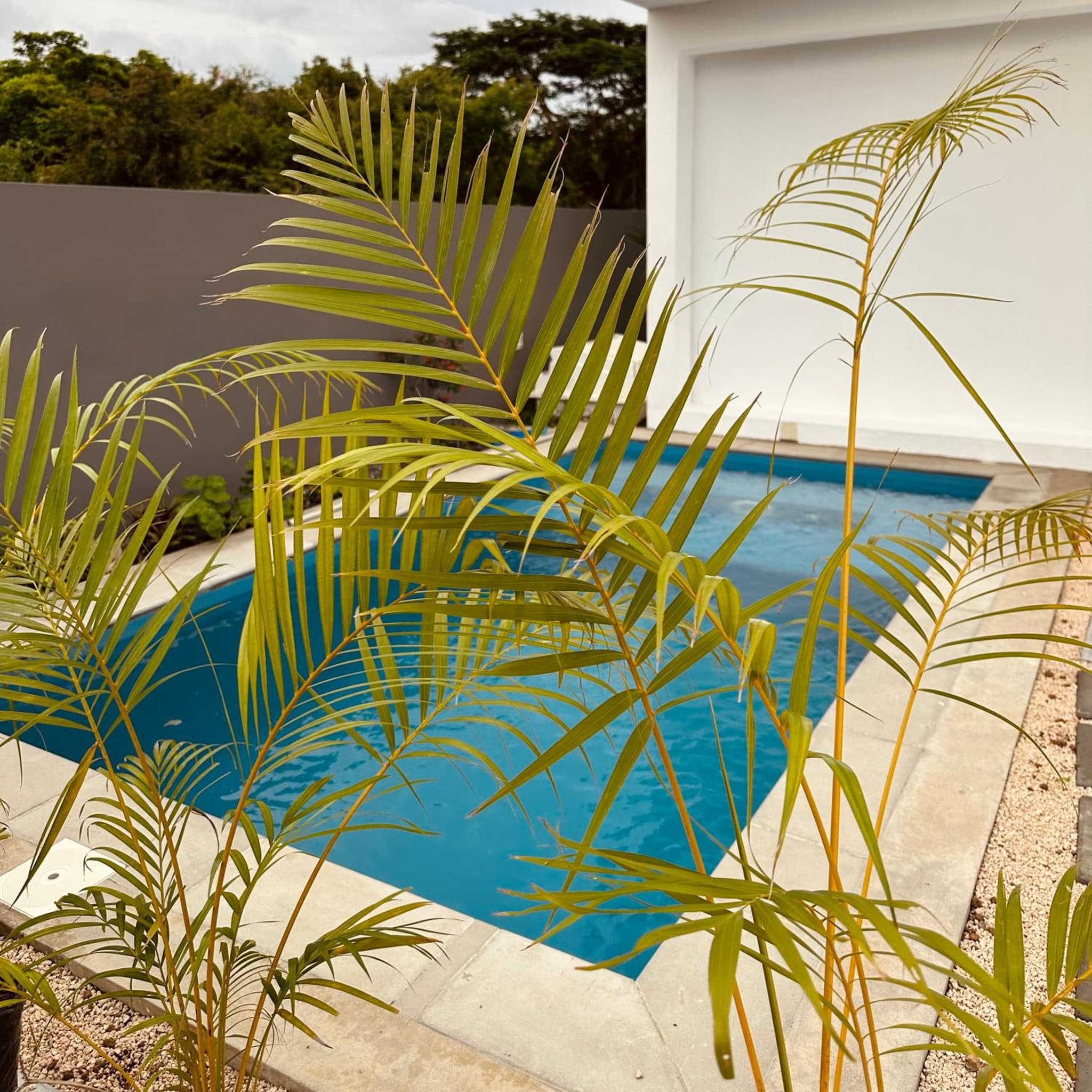 Appartement NOAM 2, Mont Choisy photo 6