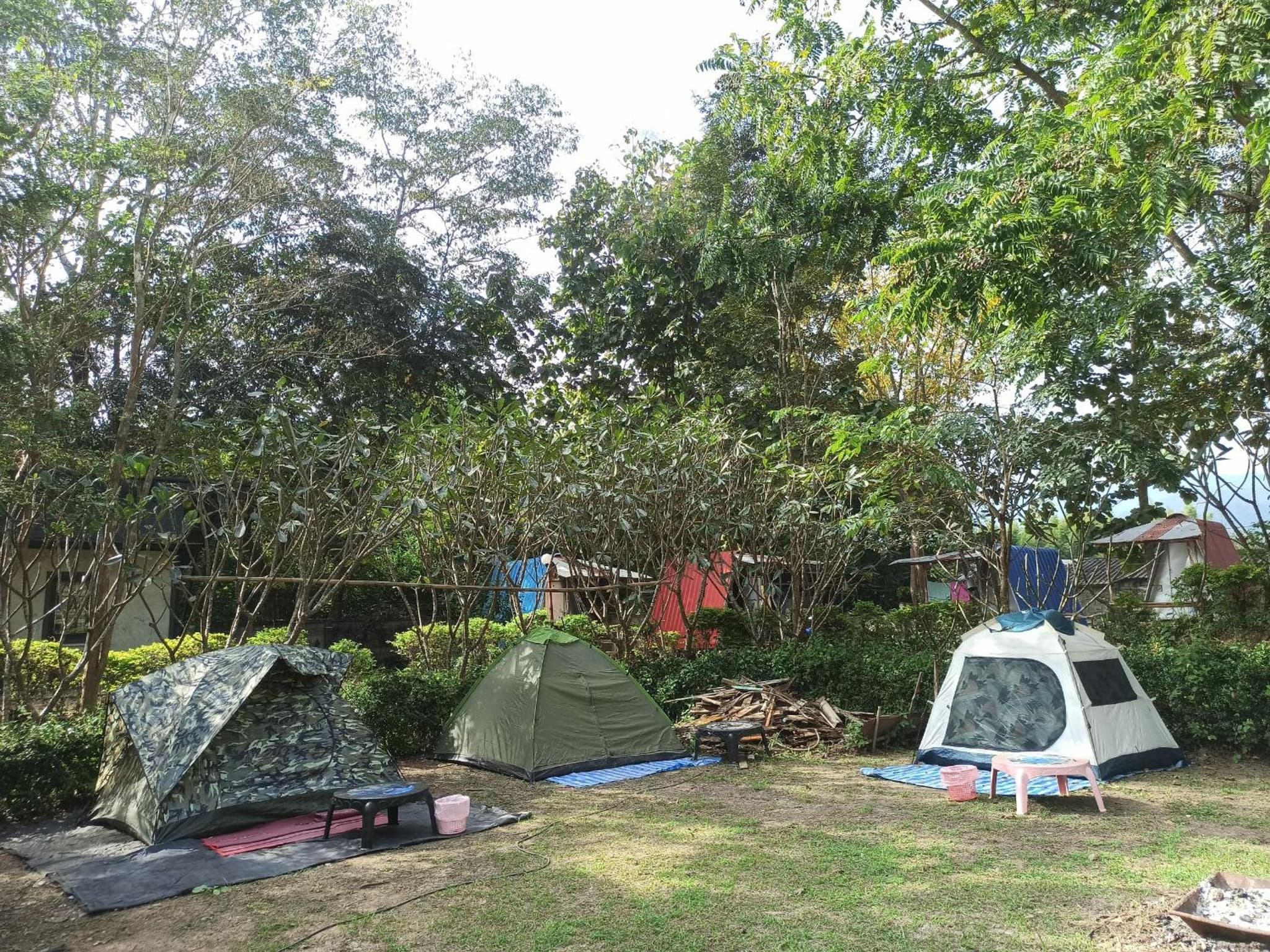 Pai Forest Resort photo 3