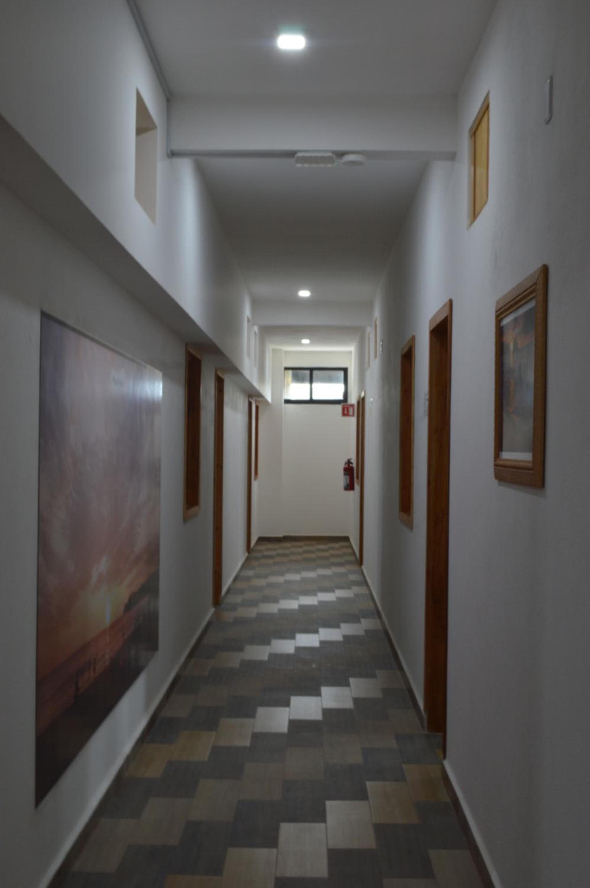Hotel Axolotl photo 4