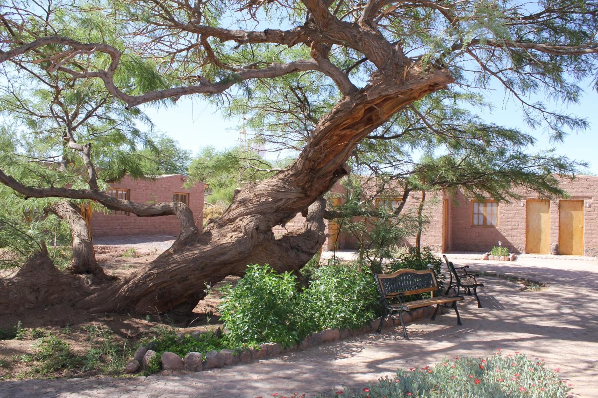 Hotel Casa Don Esteban photo 5