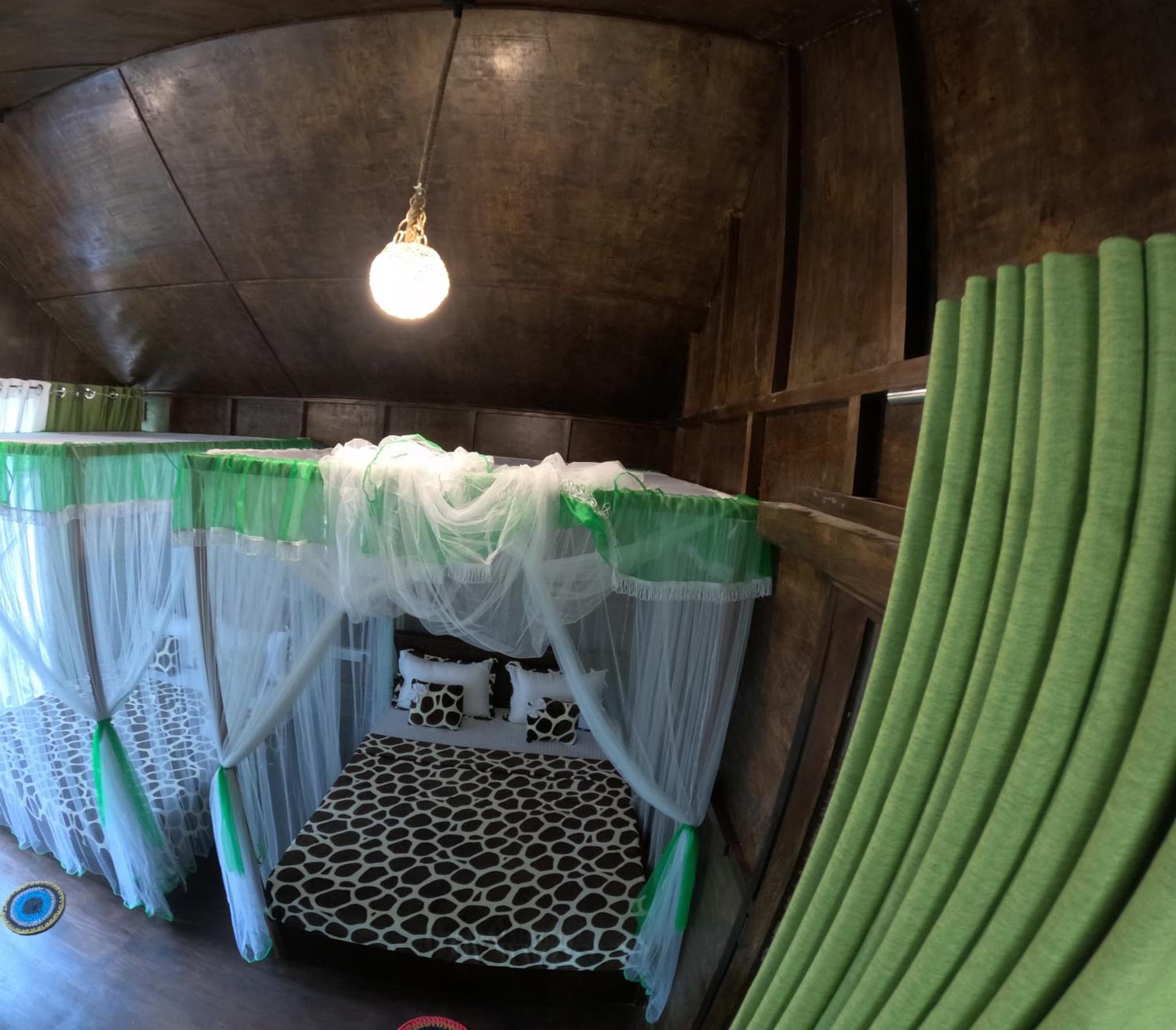 Coconut Tree House photo 6