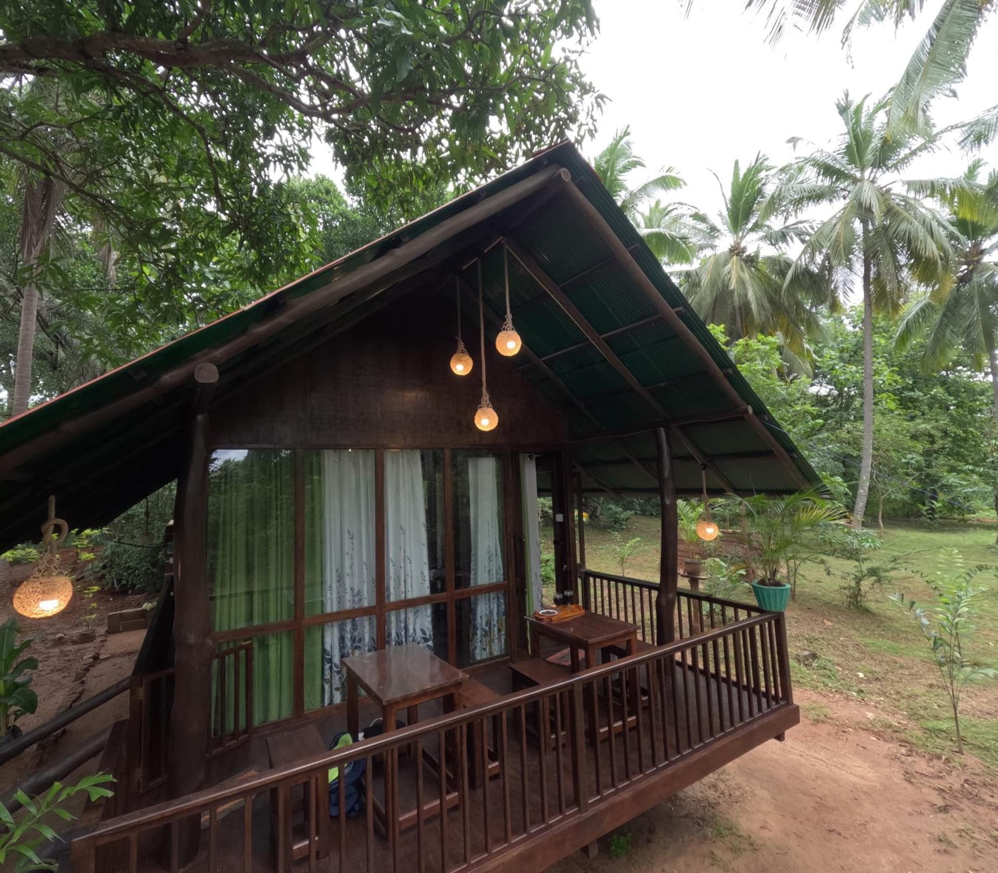 Coconut Tree House photo 5