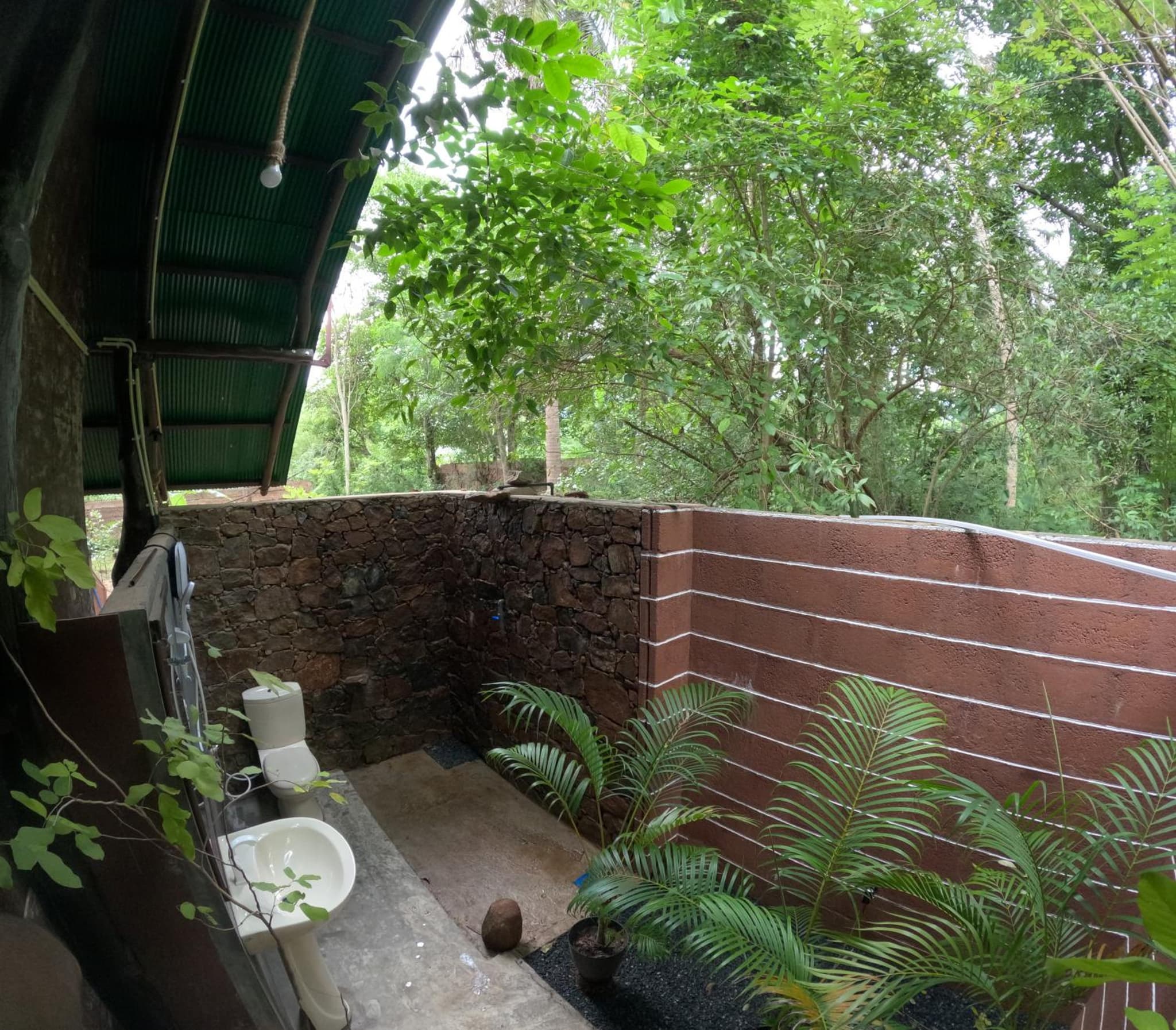 Coconut Tree House photo 9