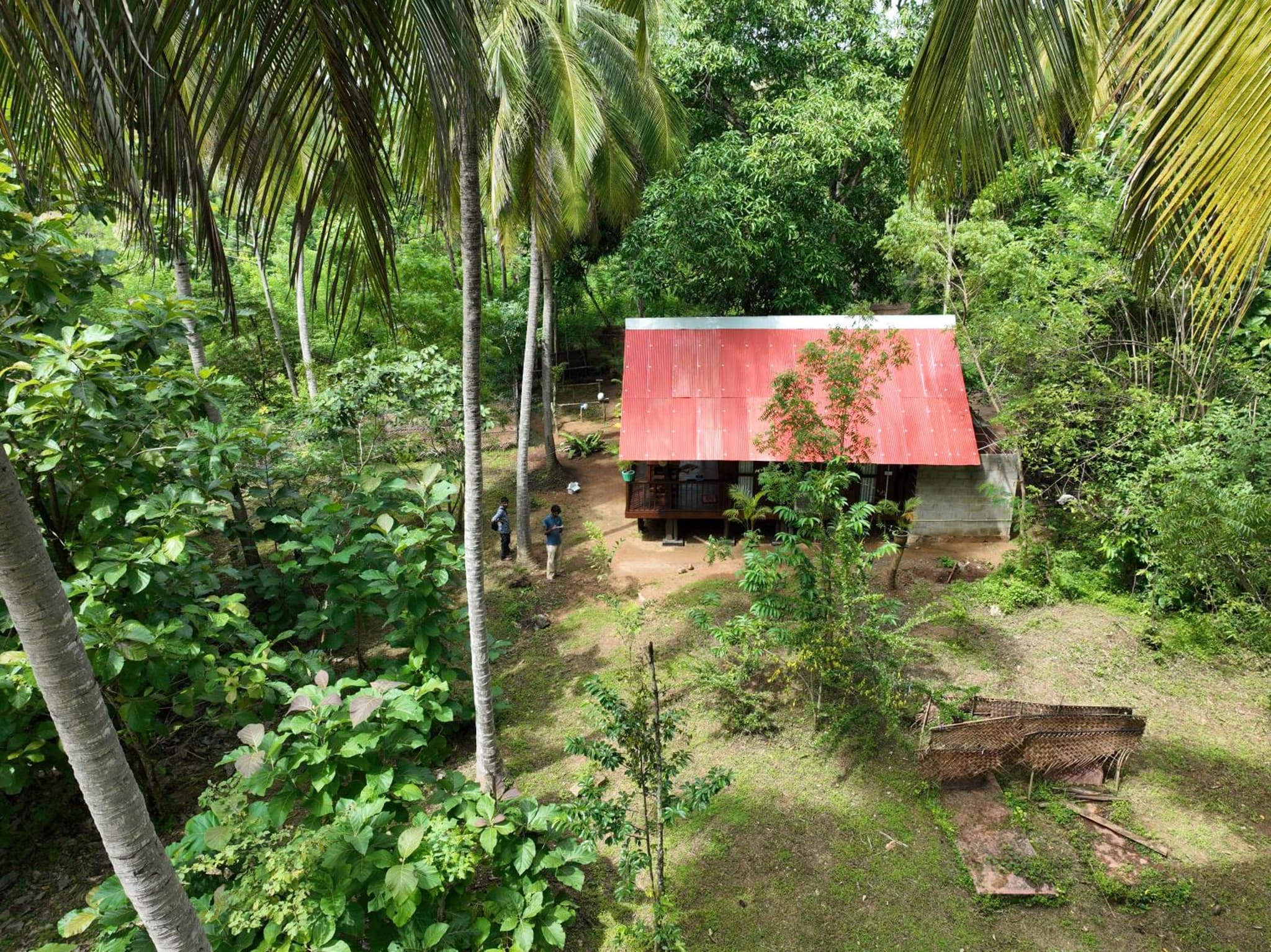 Coconut Tree House photo 7