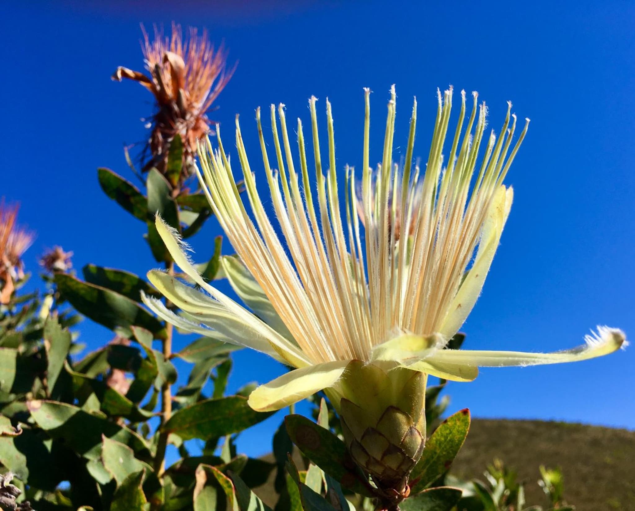 The View Swellendam B&B photo 5
