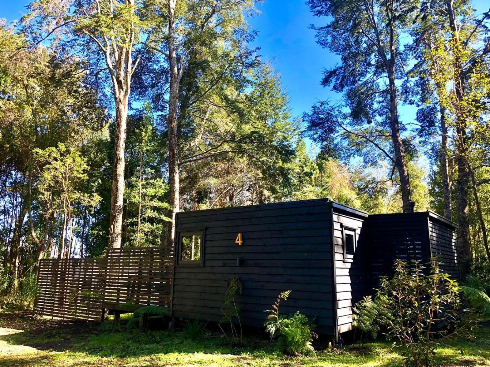 Calma Lodge photo 9
