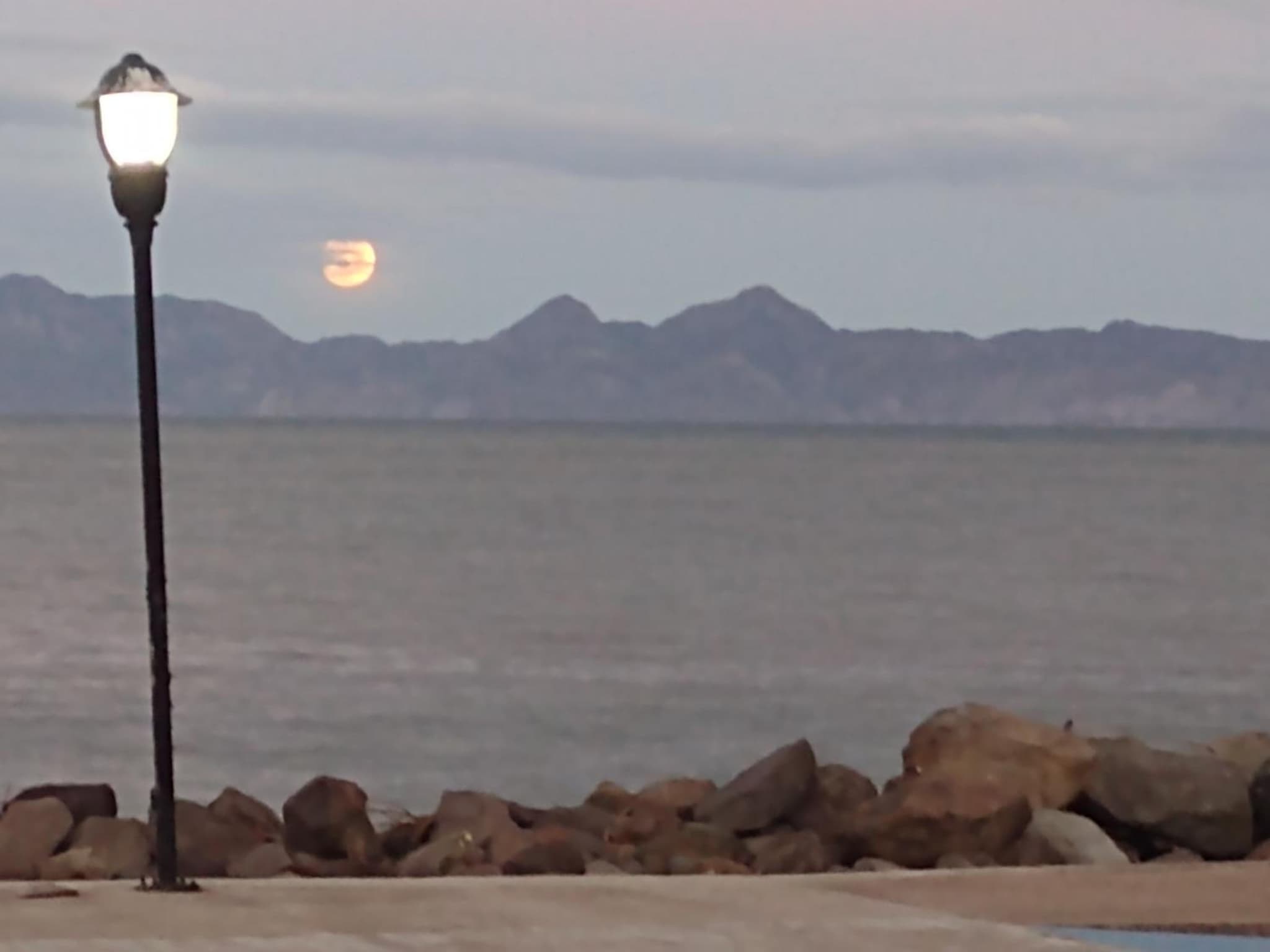 Loreto Playa Boutique Hotel photo 6