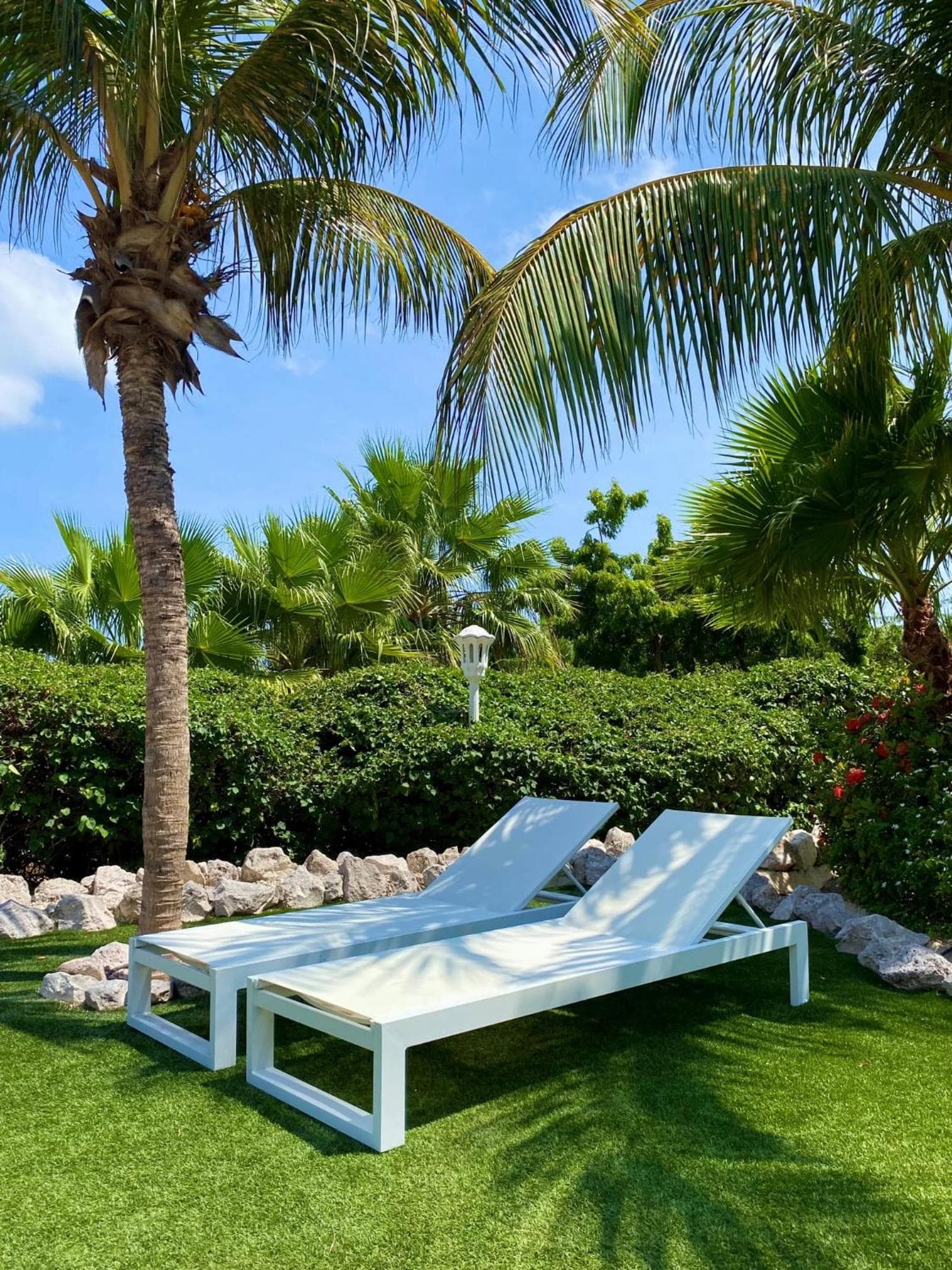 Abondante Paradise photo 6