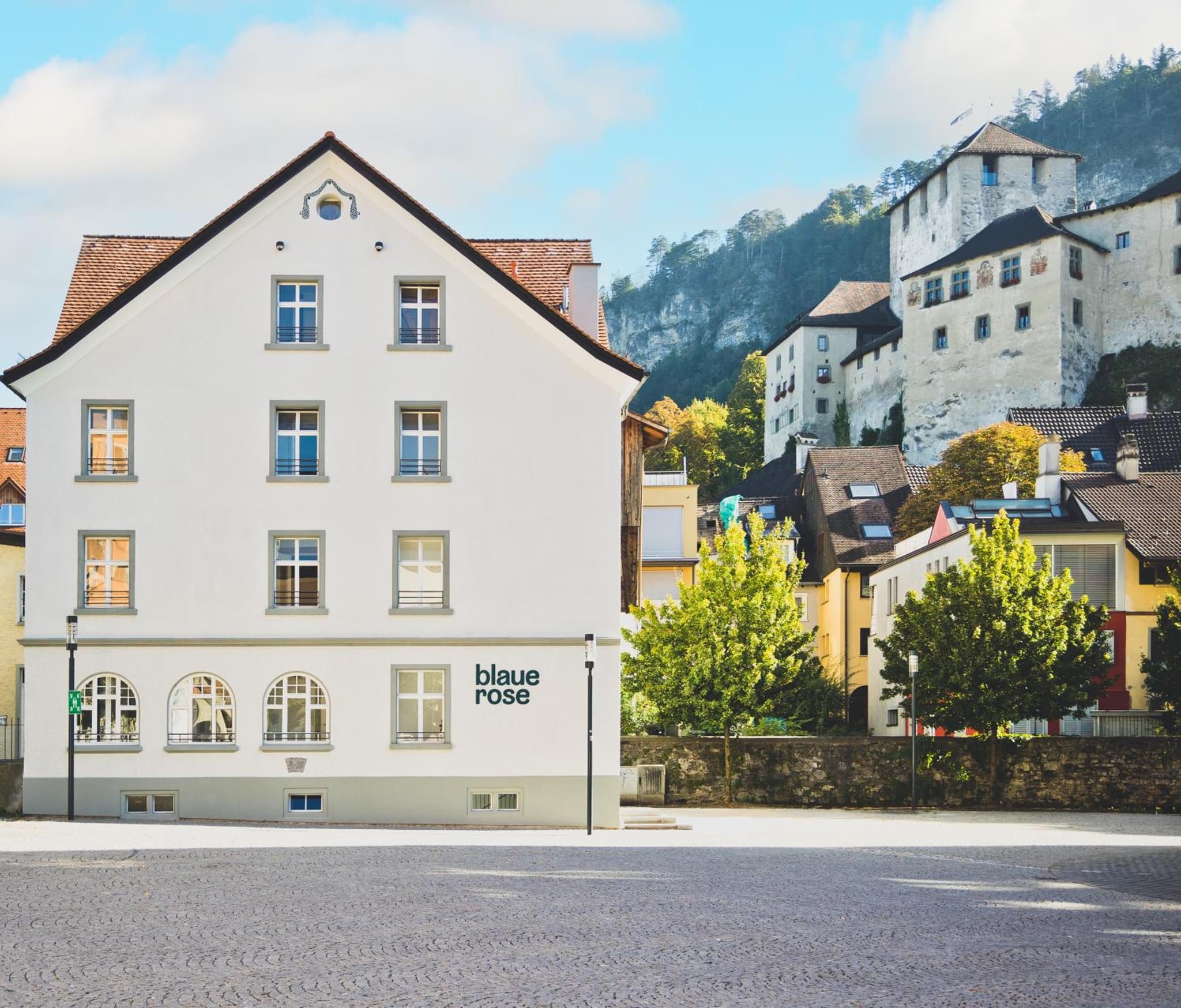 HOTEL BLAUE ROSE -digital check in- photo 3