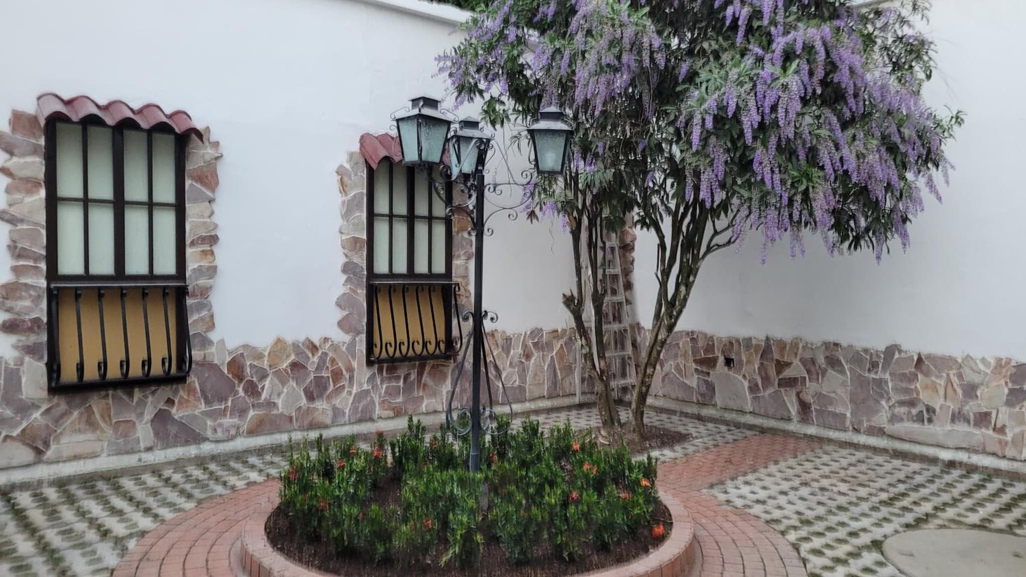 Casa 59 - Guest House photo 4