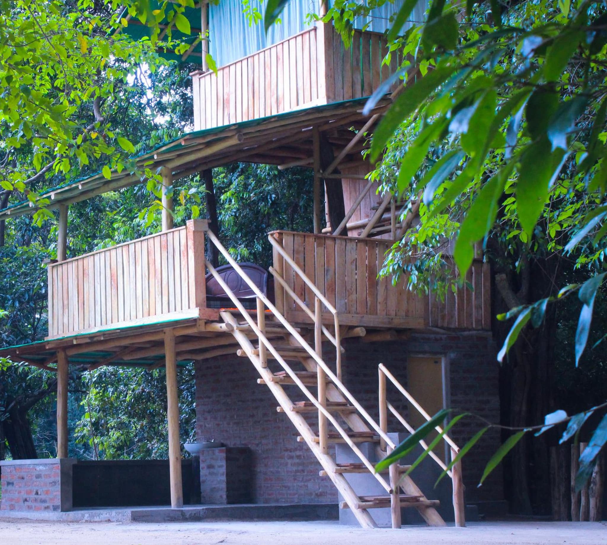 Forest Tree Top Holiday Resort
